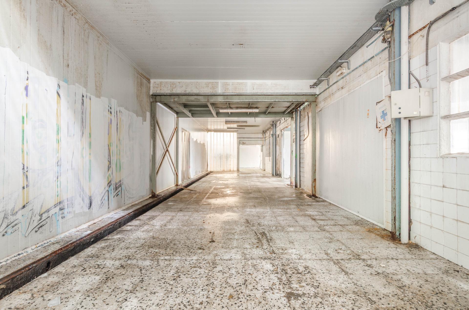 Naves-Venta-PiloÃ±a-2090363-Foto-16