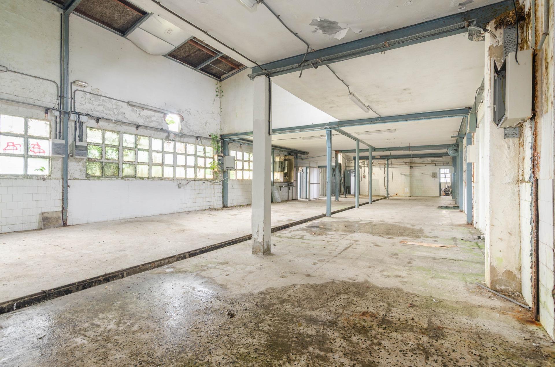 Naves-Venta-PiloÃ±a-2090363-Foto-19