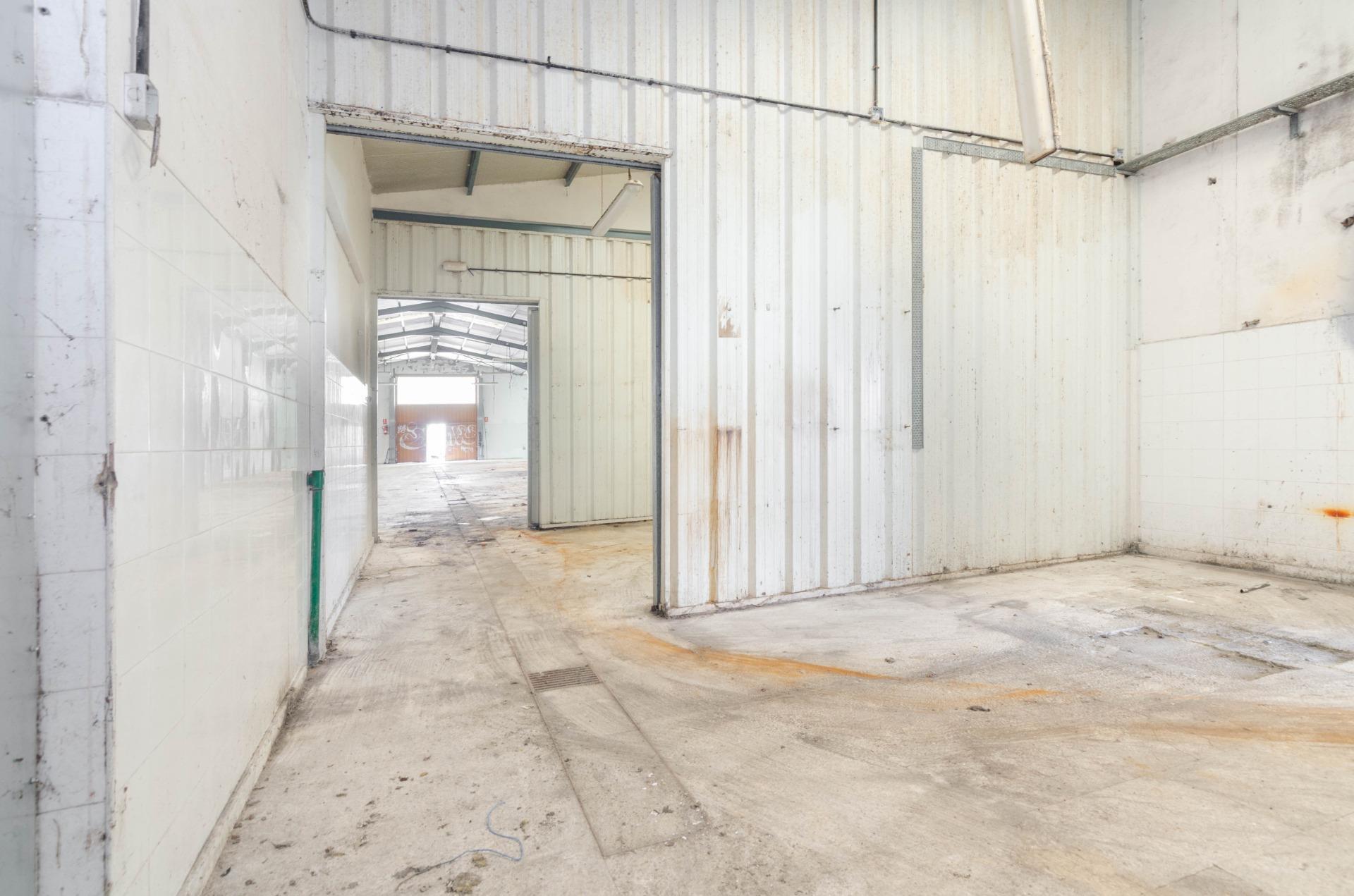 Naves-Venta-PiloÃ±a-2090363-Foto-22