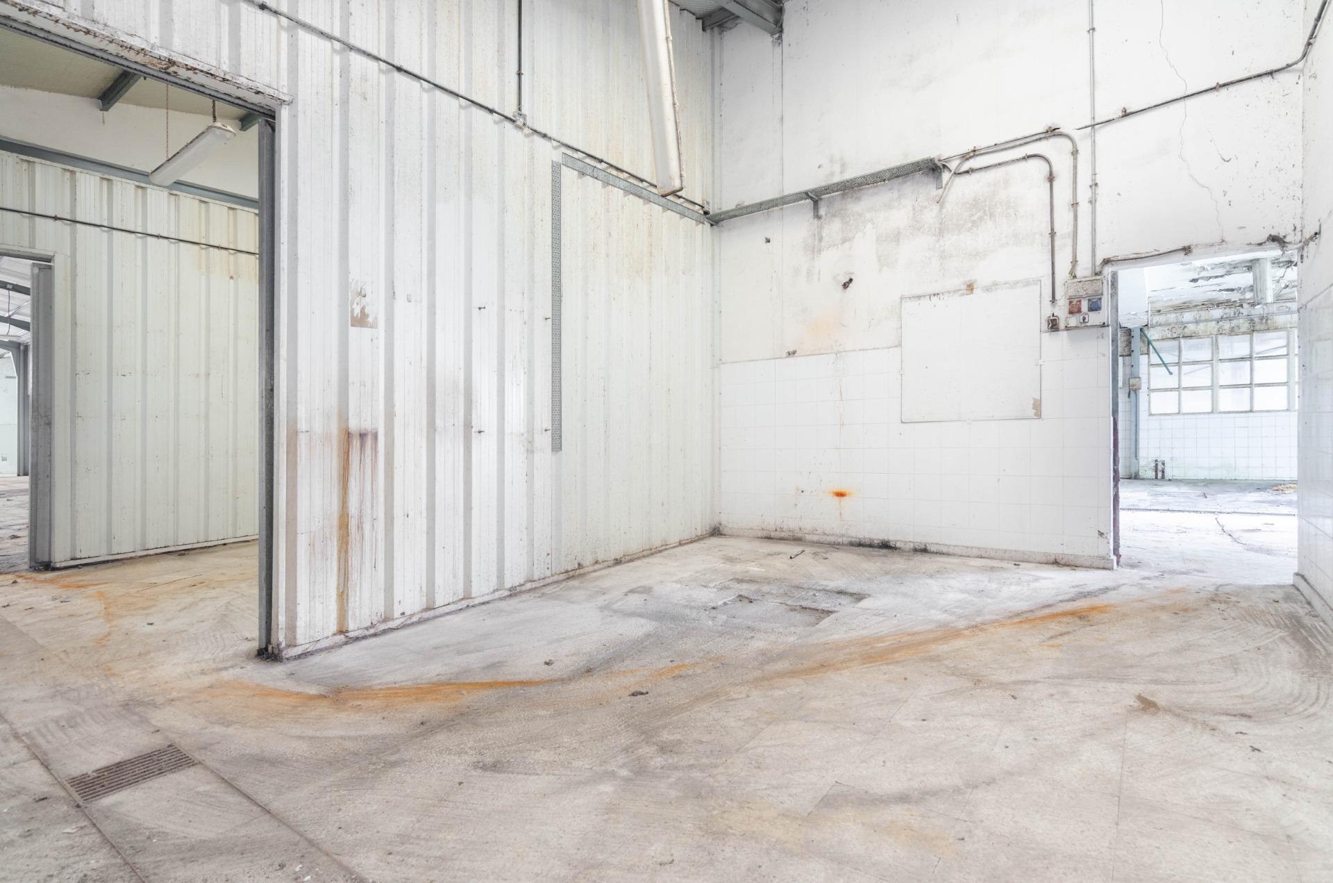 Naves-Venta-PiloÃ±a-2090363-Foto-21