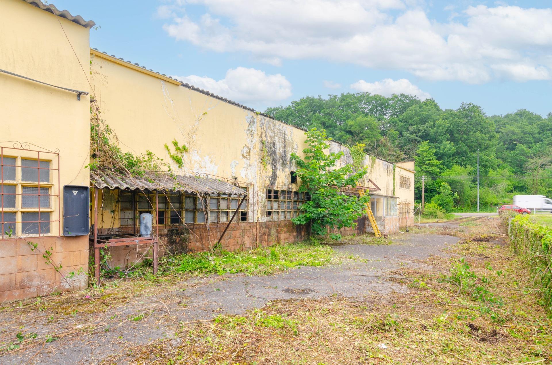 Naves-Venta-PiloÃ±a-2090363-Foto-44