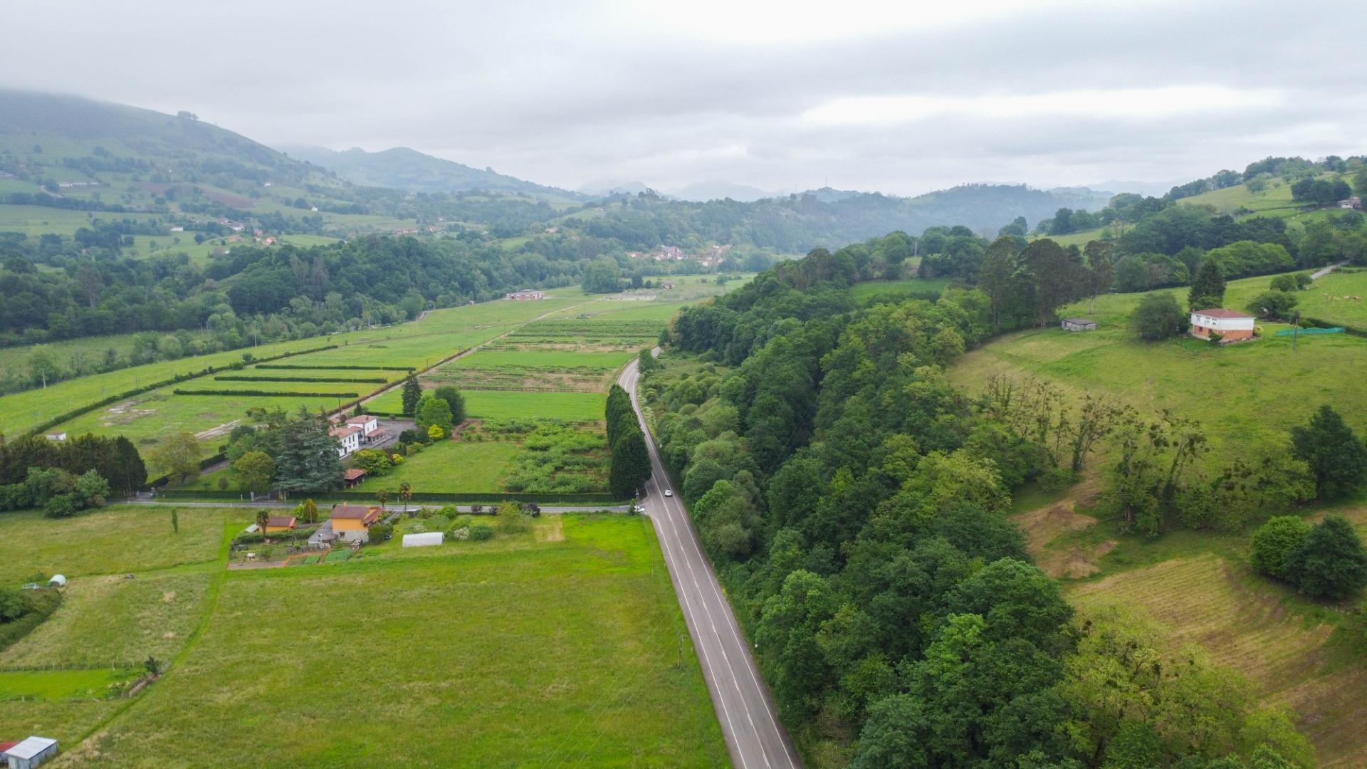 Naves-Venta-PiloÃ±a-2090363-Foto-54