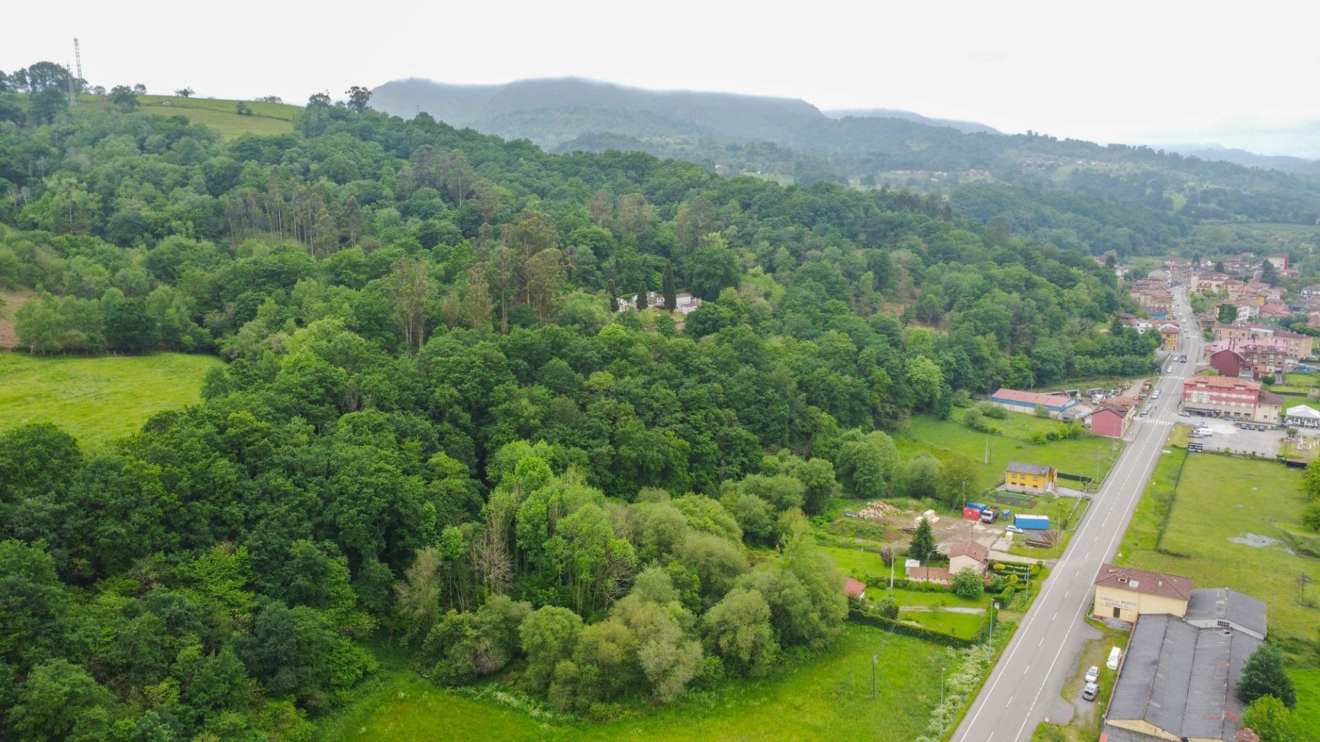 Naves-Venta-PiloÃ±a-2090363-Foto-52