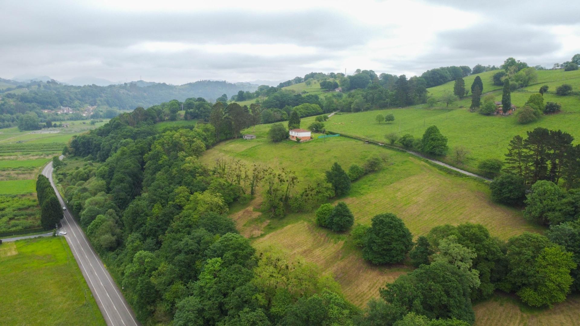 Naves-Venta-PiloÃ±a-2090363-Foto-53