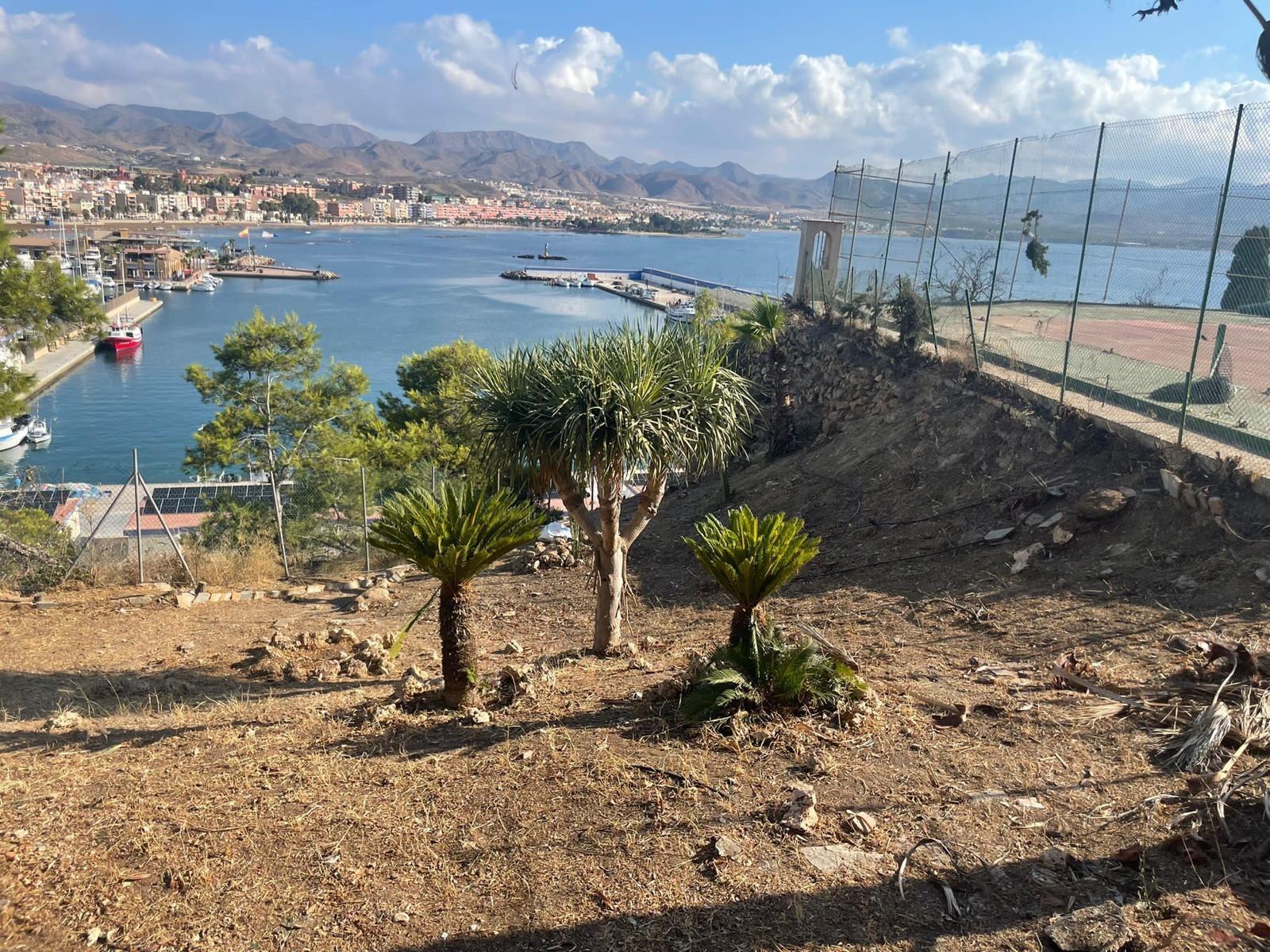 Casas o chalets-Venta-MazarrÃ³n-1935604-Foto-5