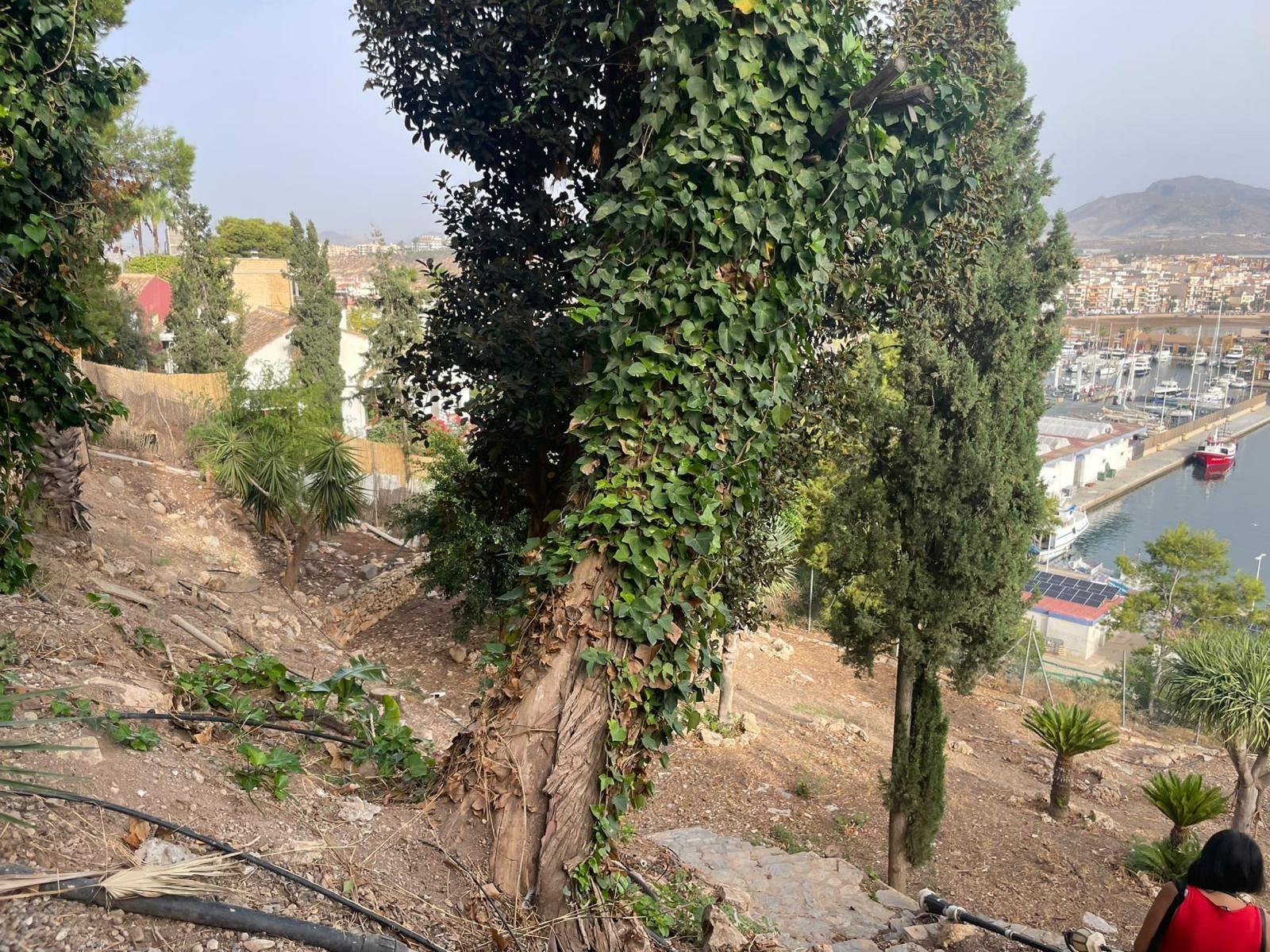 Casas o chalets-Venta-MazarrÃ³n-1935604-Foto-8