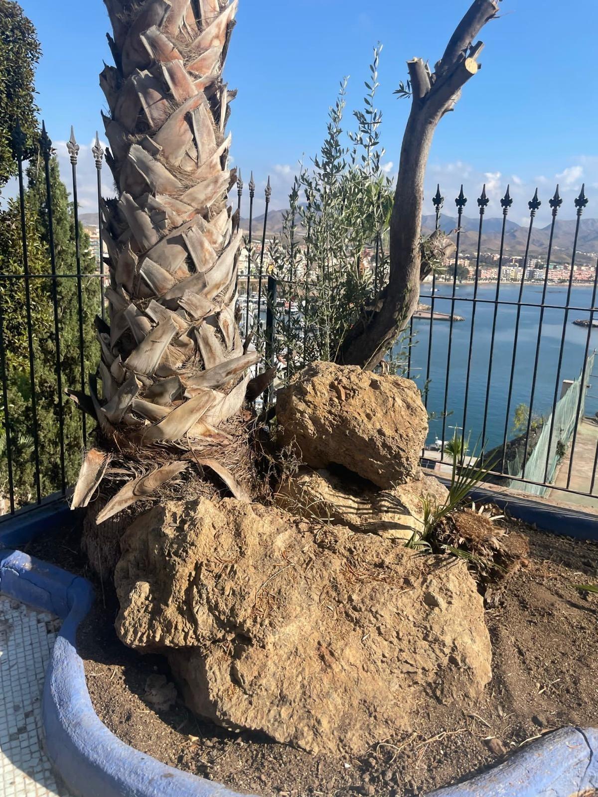 Casas o chalets-Venta-MazarrÃ³n-1935604-Foto-15