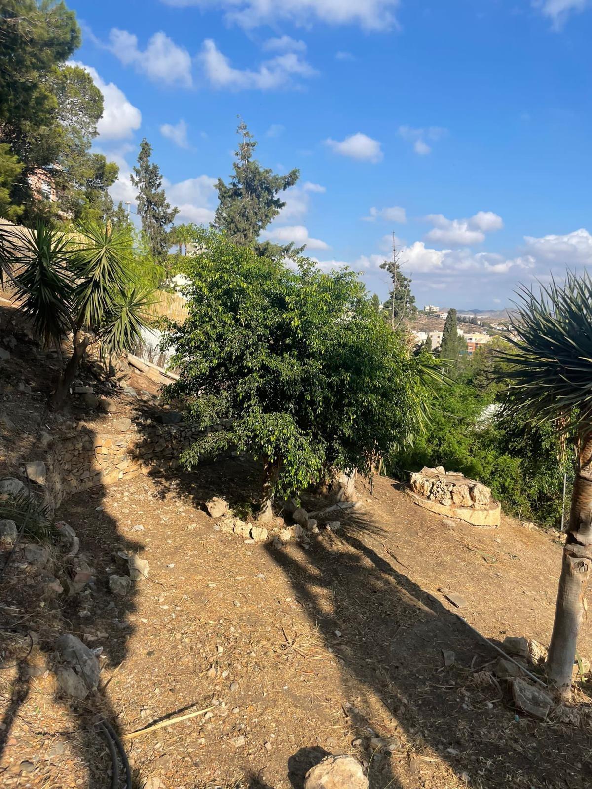 Casas o chalets-Venta-MazarrÃ³n-1935604-Foto-17