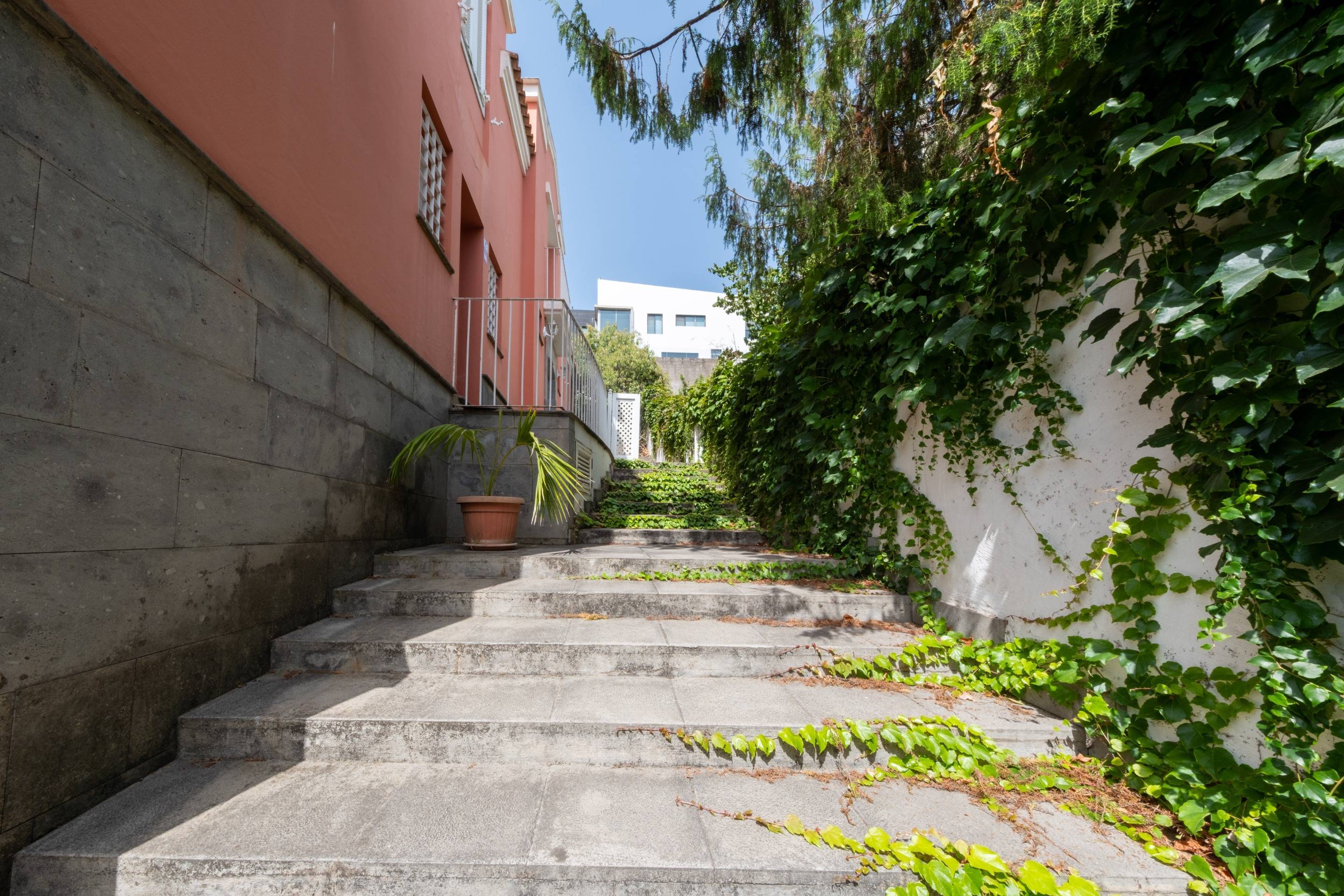 Casas o chalets-Venta-Santa BrÃ­gida-1839794-Foto-4