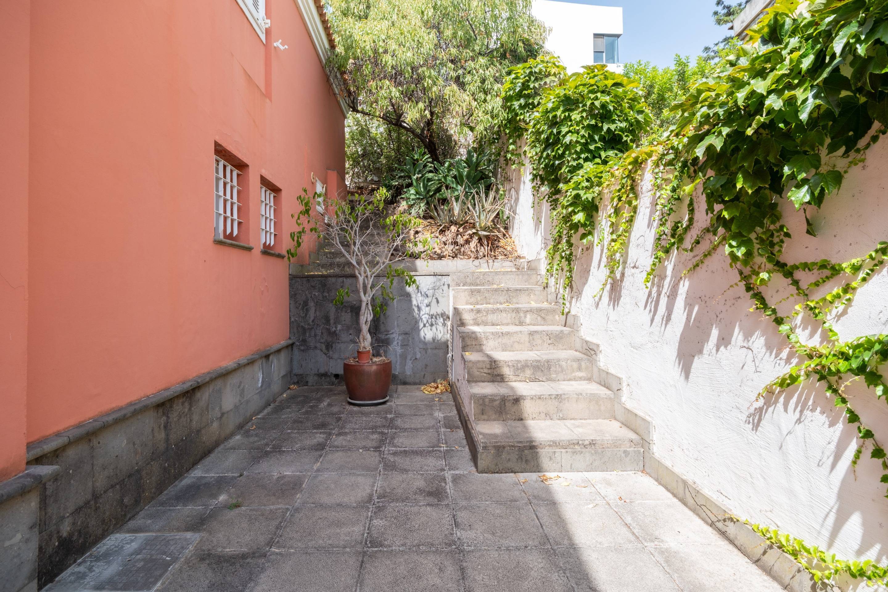 Casas o chalets-Venta-Santa BrÃ­gida-1839794-Foto-3