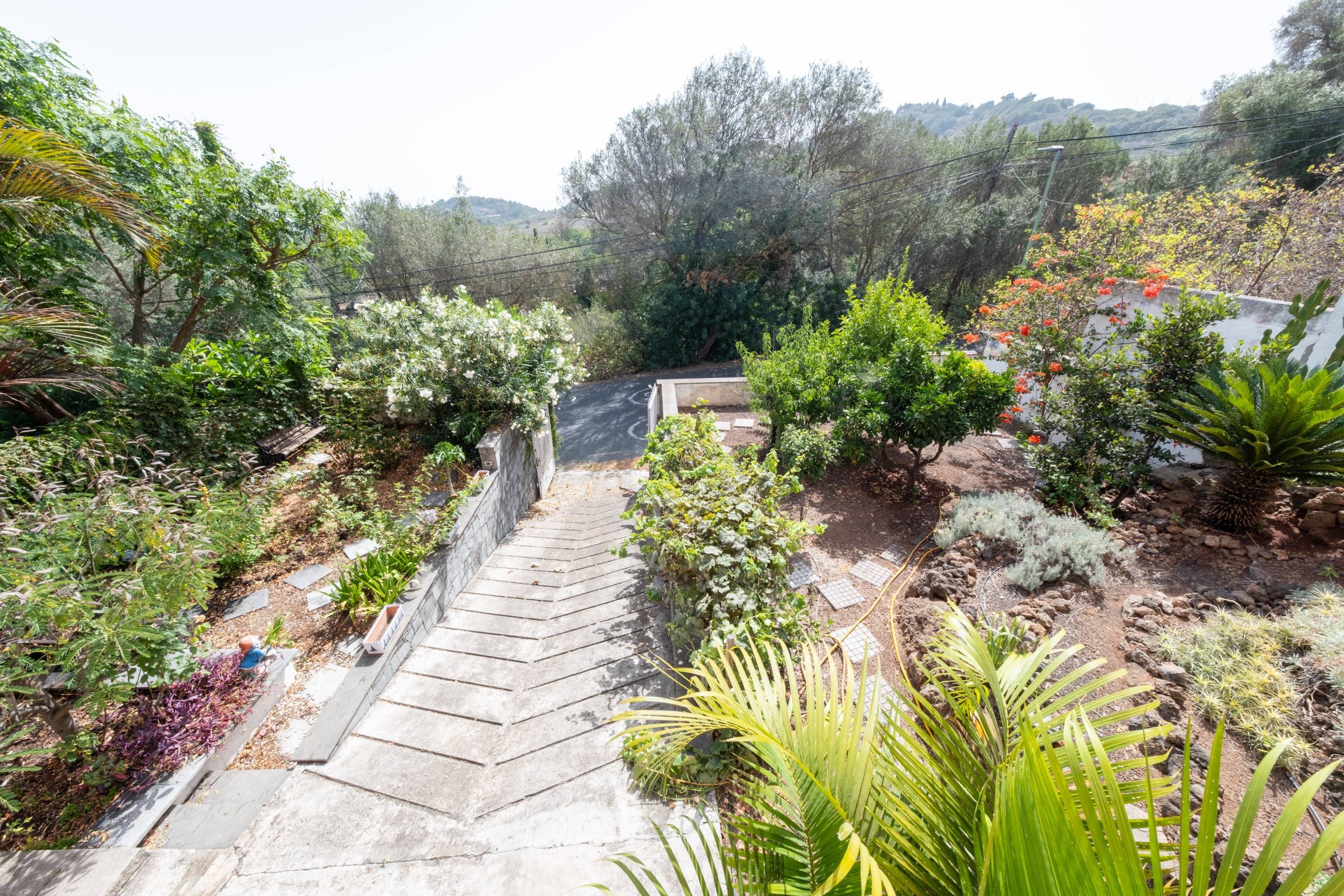 Casas o chalets-Venta-Santa BrÃ­gida-1839794-Foto-52