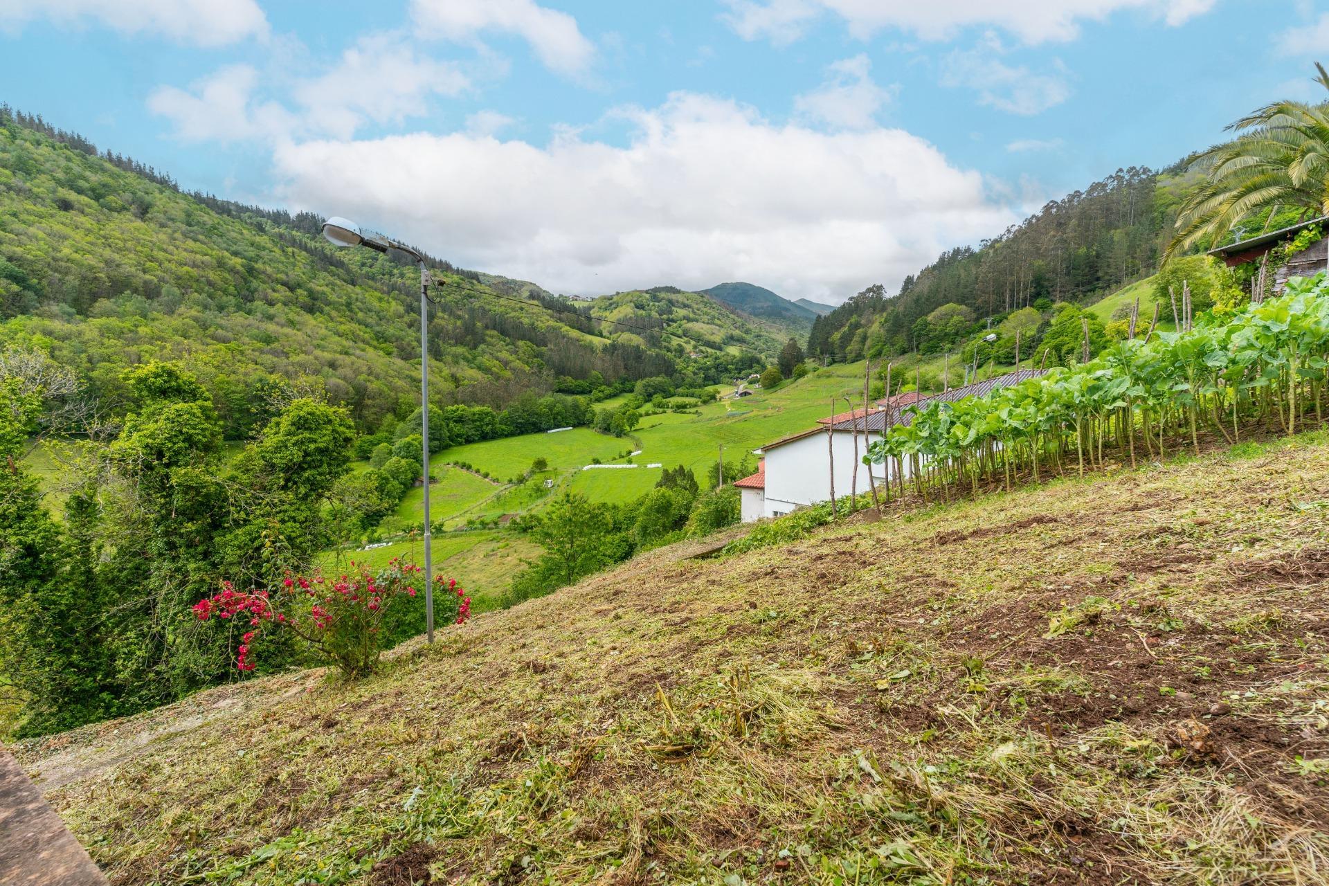 Casas o chalets-Venta-Tineo-1101887-Foto-47