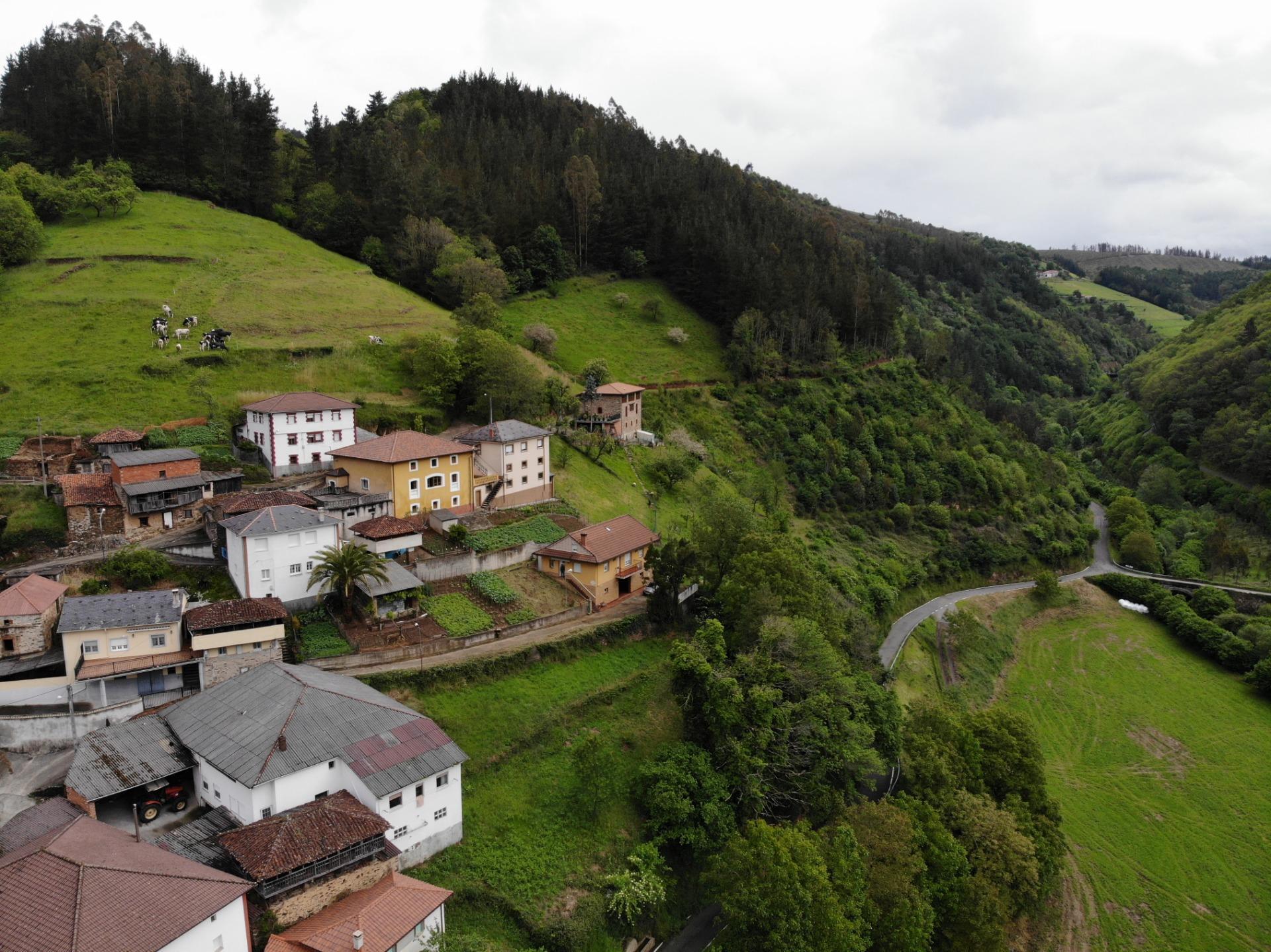 Casas o chalets-Venta-Tineo-1101887-Foto-51