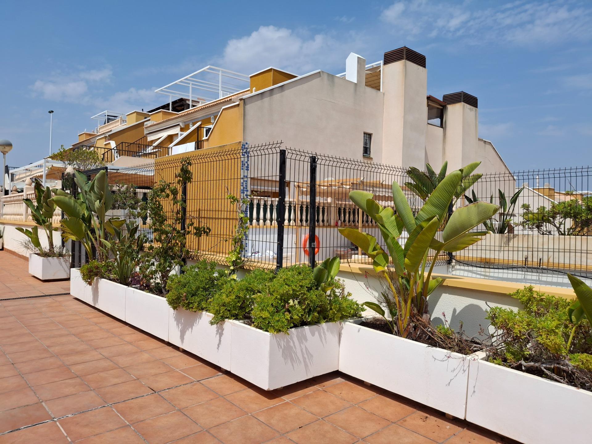 Casas o chalets-Venta-Elche-1836506-Foto-2