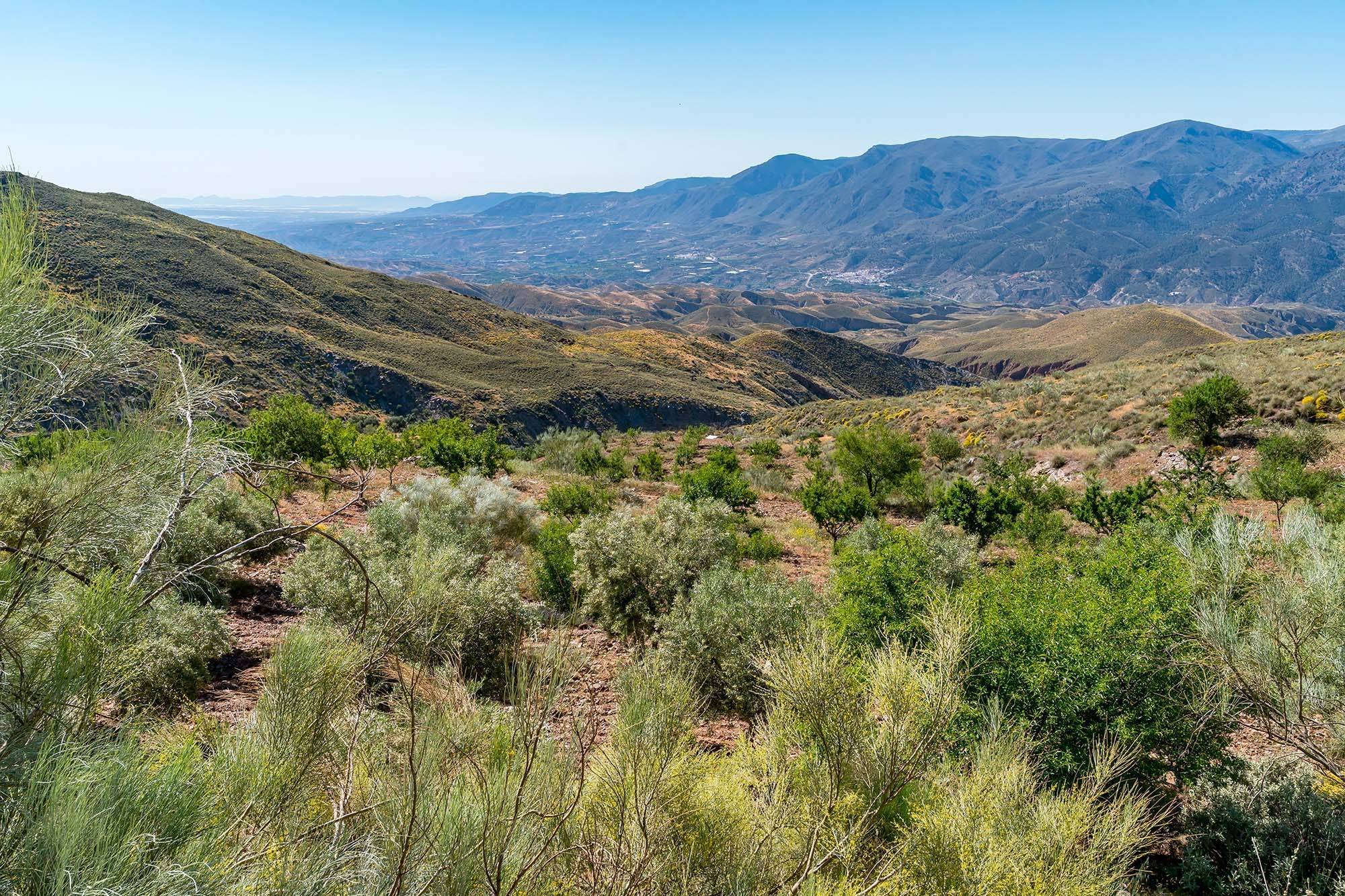 Pisos-Venta-InstinciÃ³n-1743732-Foto-33