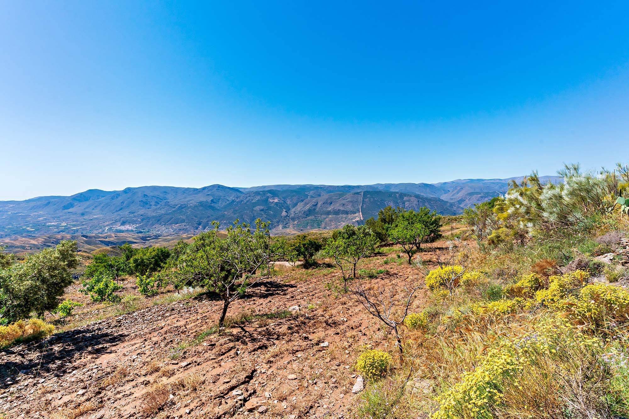 Pisos-Venta-InstinciÃ³n-1743732-Foto-39