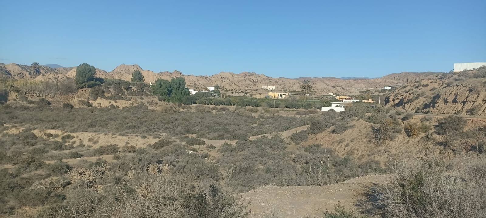 Fincas y solares-Venta-GÃ¡dor-1520815-Foto-6