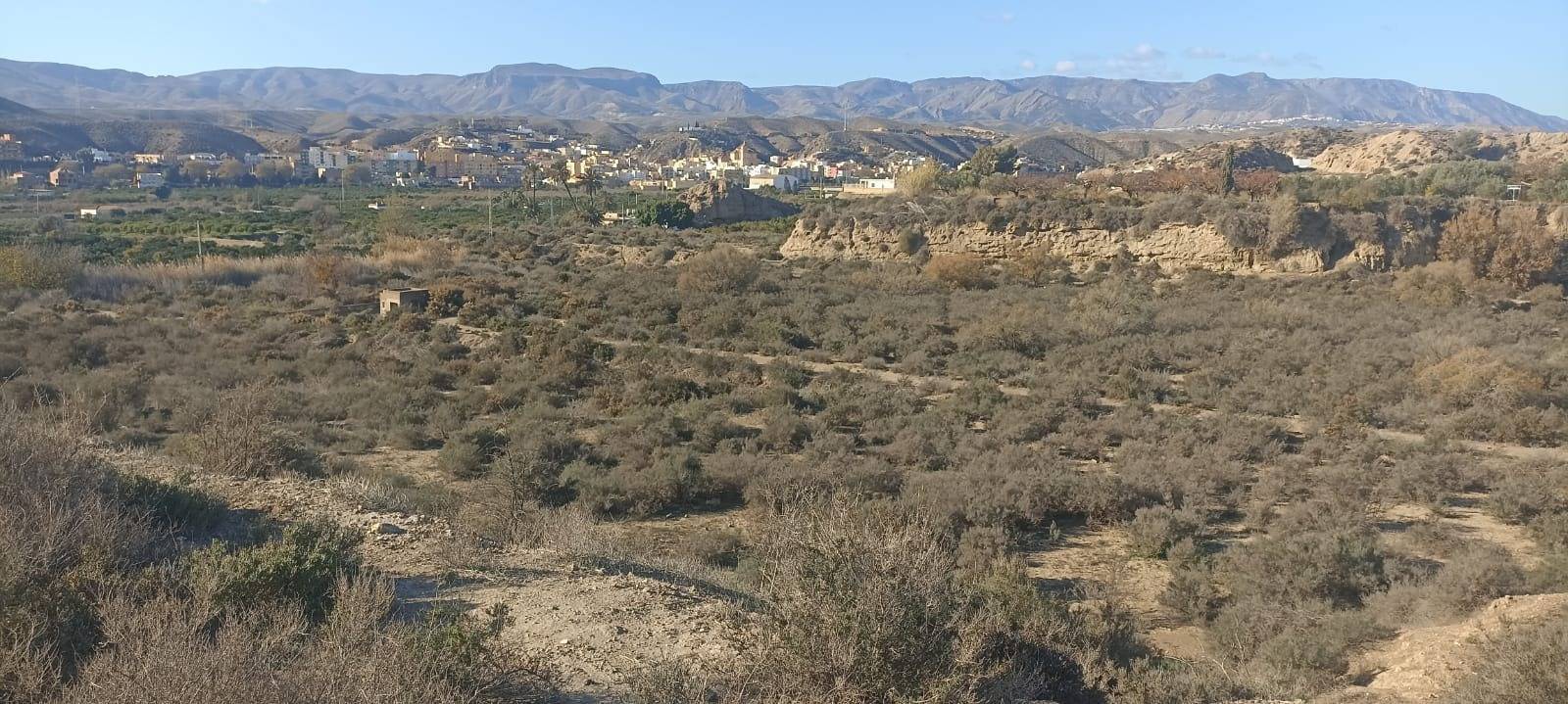 Fincas y solares-Venta-GÃ¡dor-1520815-Foto-9