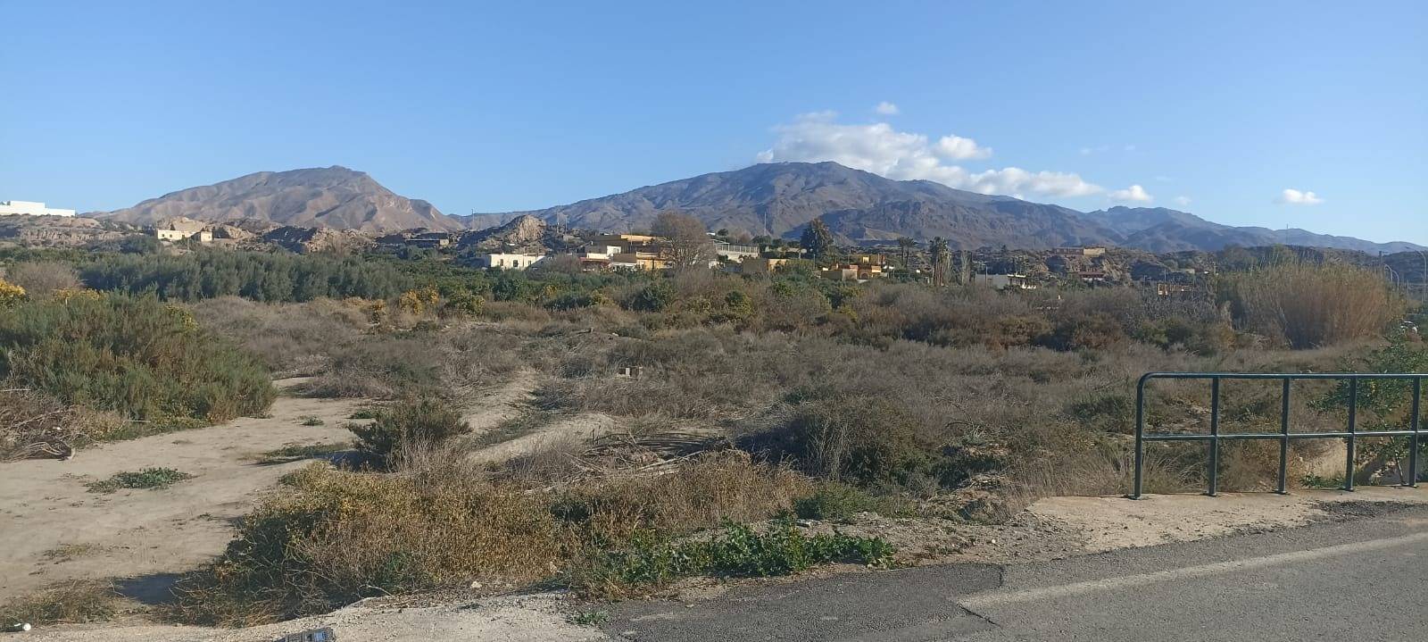 Fincas y solares-Venta-GÃ¡dor-1520821-Foto-6