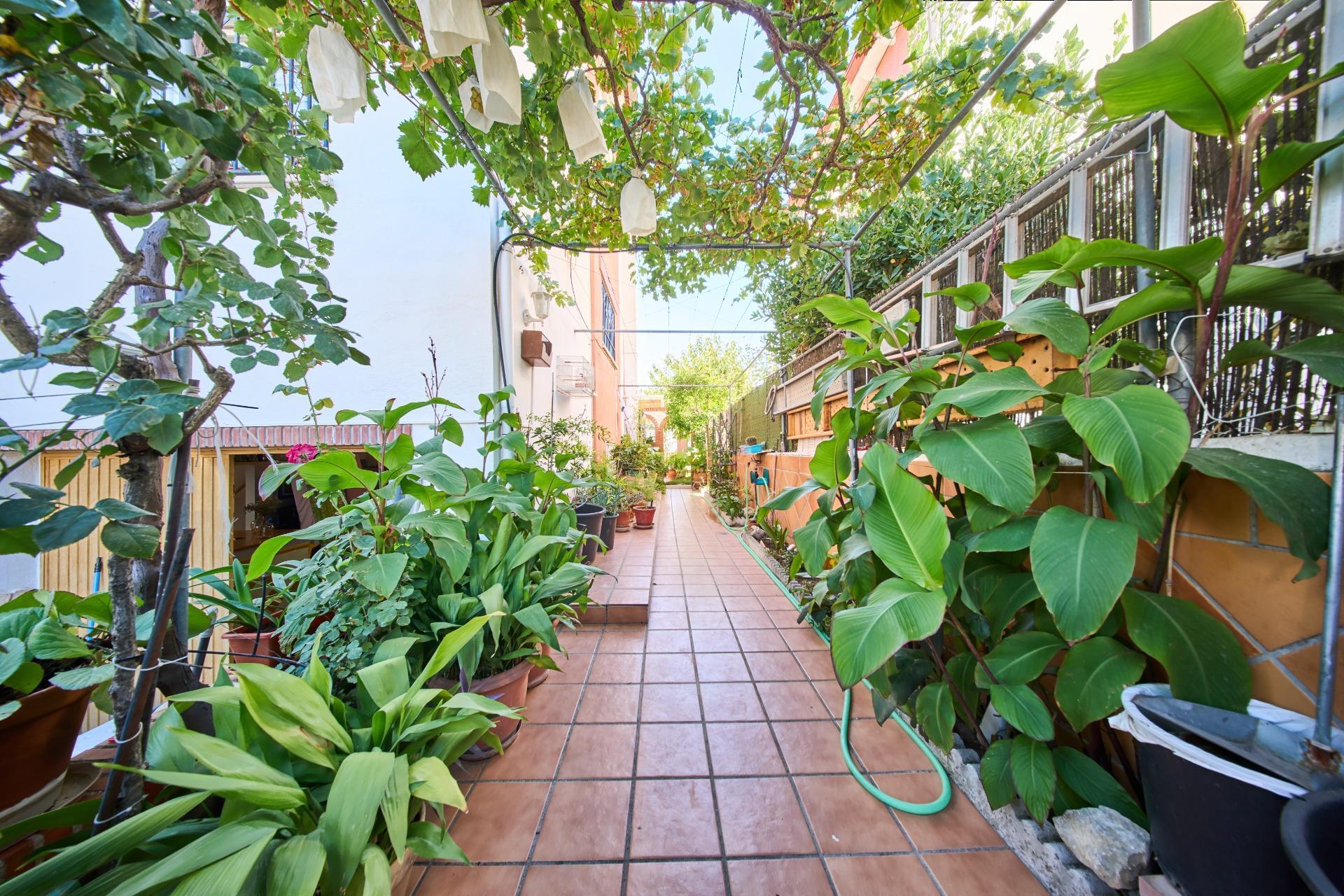 Casas o chalets-Venta-La Jonquera-1838518-Foto-45