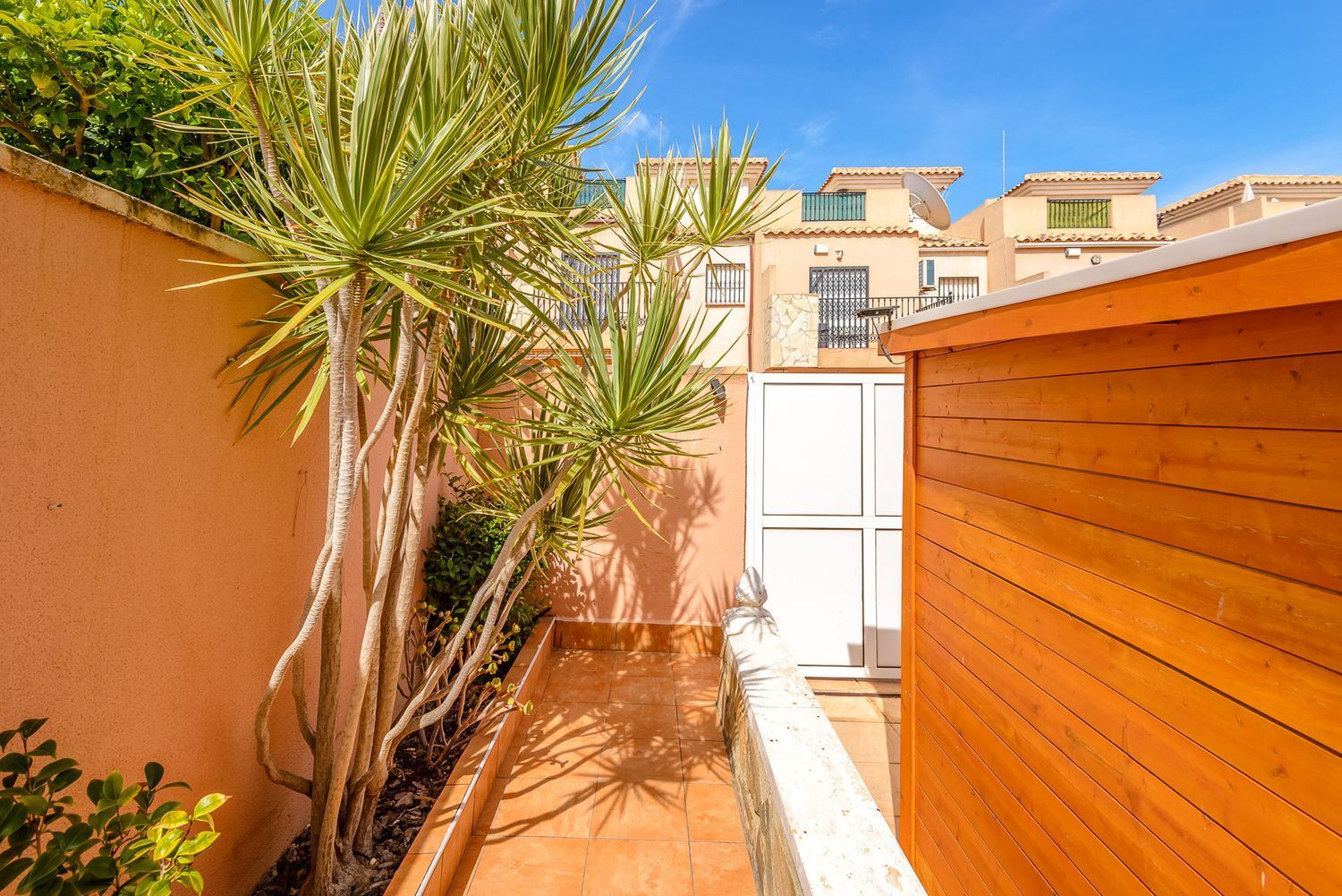 Casas o chalets-Venta-Orihuela-1838464-Foto-114