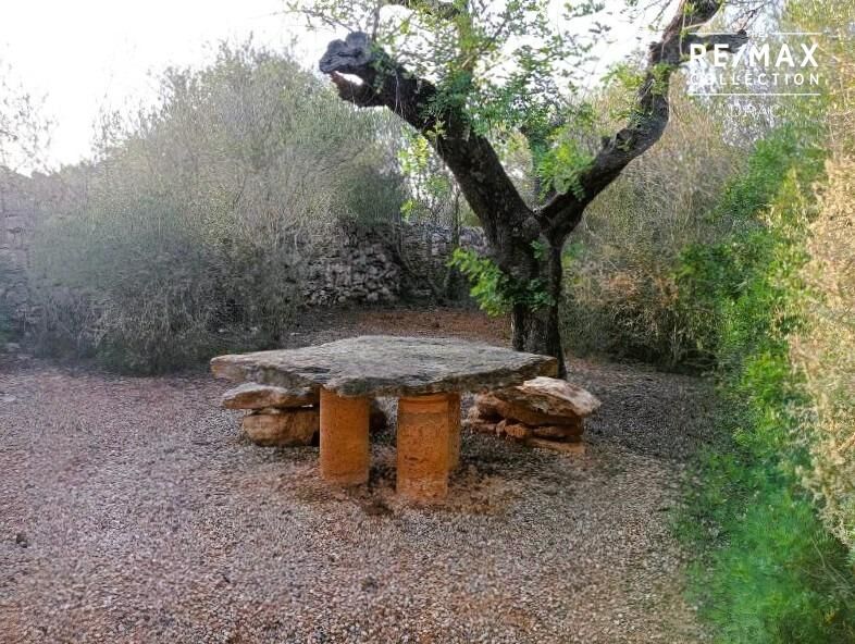 Casas o chalets-Venta-SantanyÃ­-1764375-Foto-24