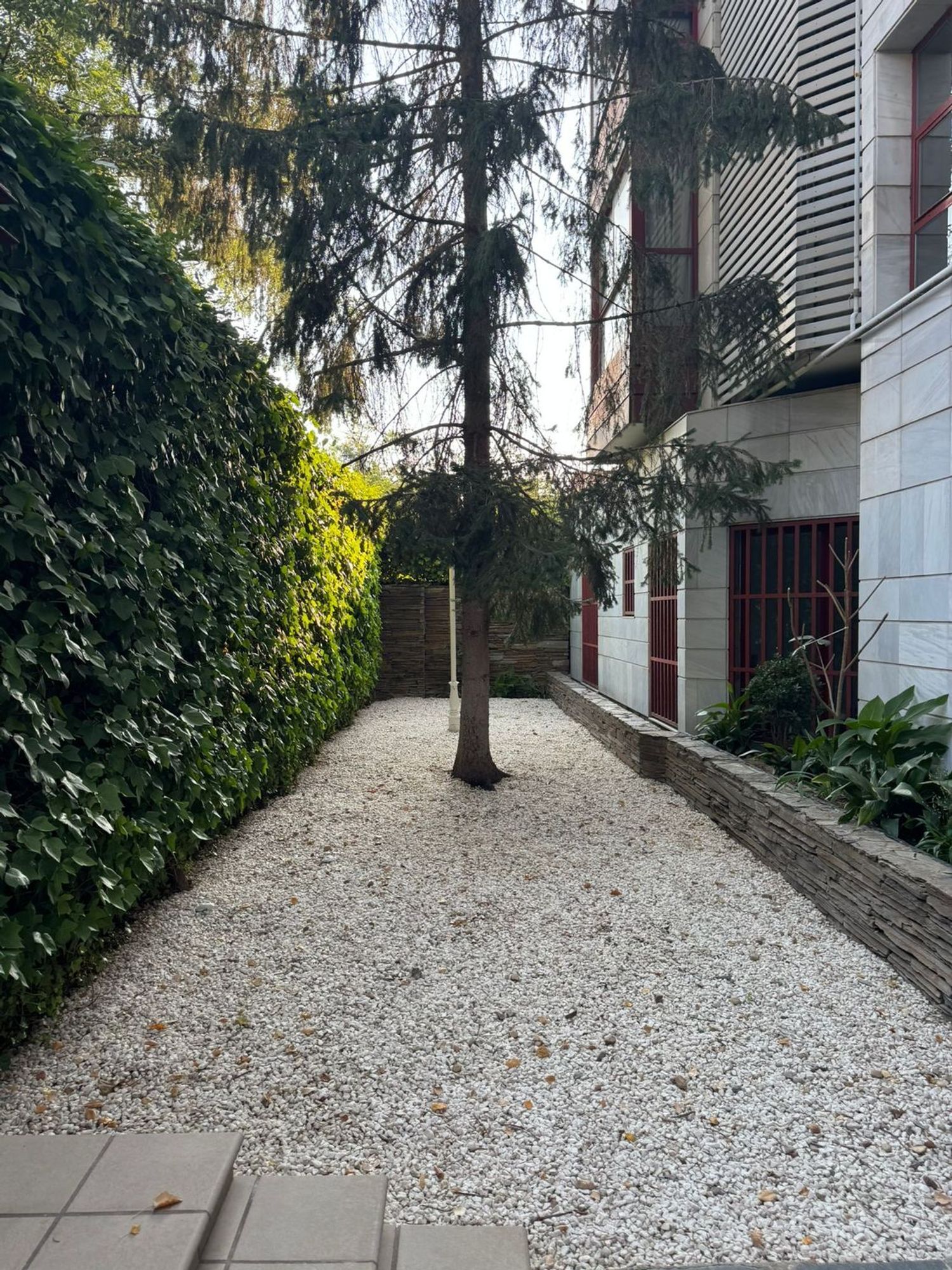 Pisos-Alquiler-Madrid-1837682-Foto-5