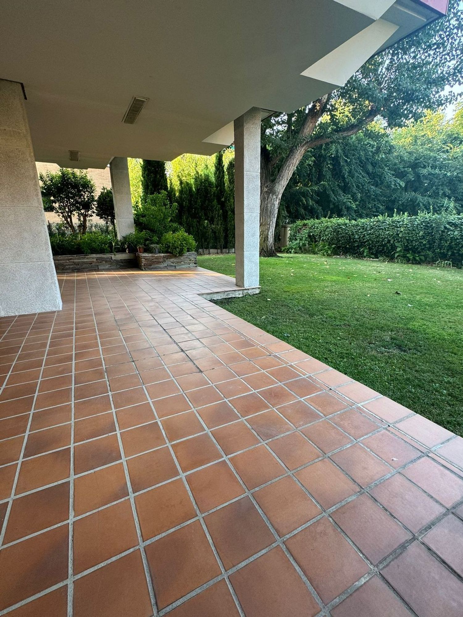 Pisos-Alquiler-Madrid-1837682-Foto-6