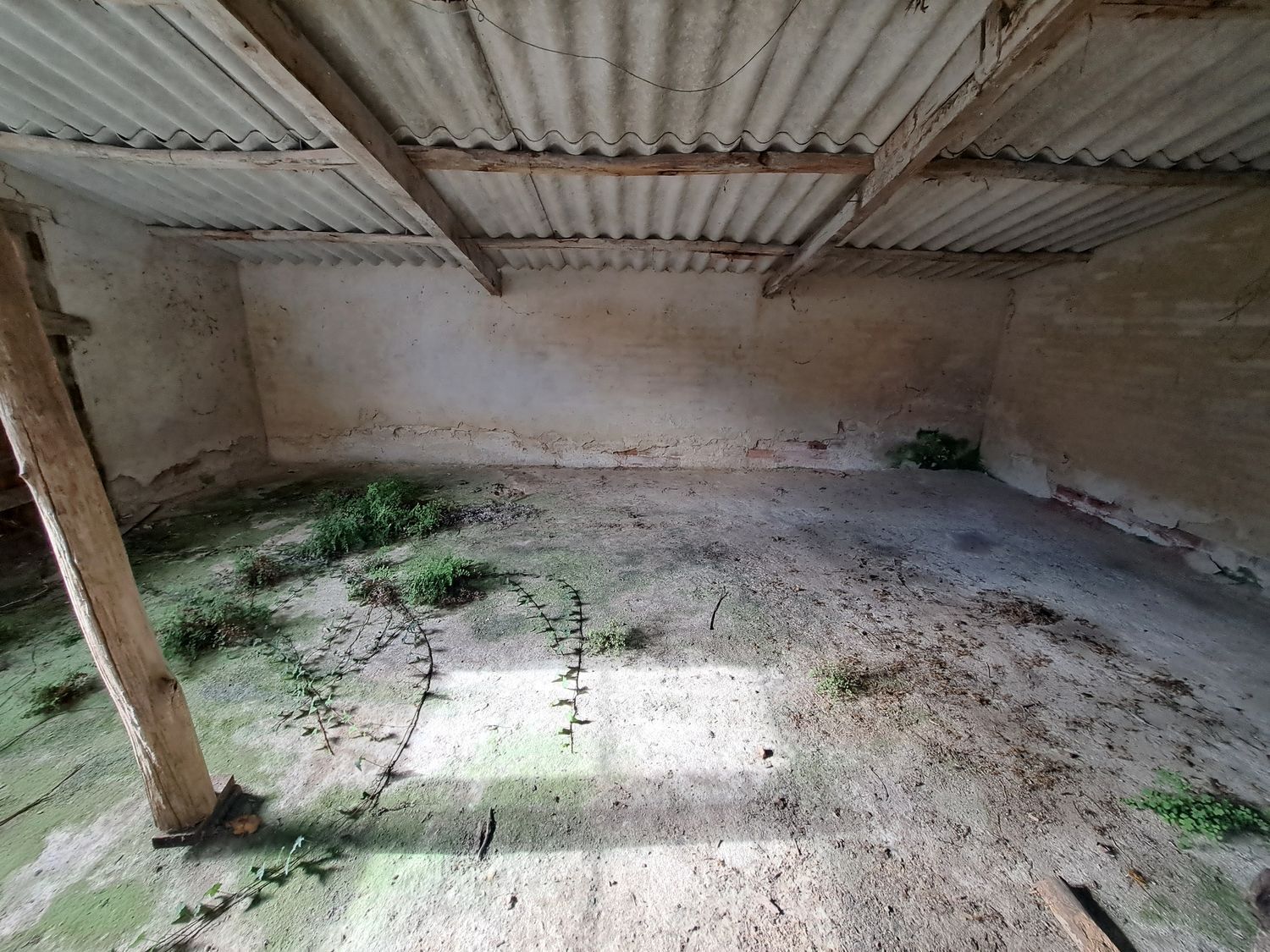 Fincas y solares-Venta-Cudillero-1658185-Foto-25
