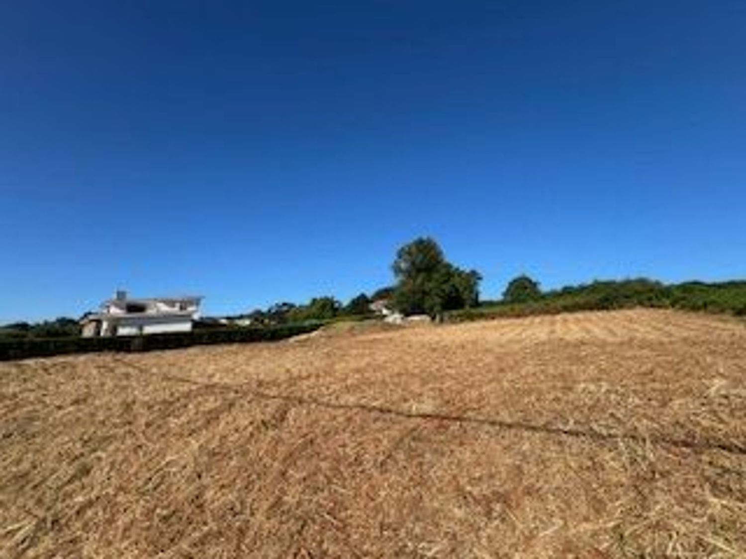 Fincas y solares-Venta-Fene-1830035-Foto-4