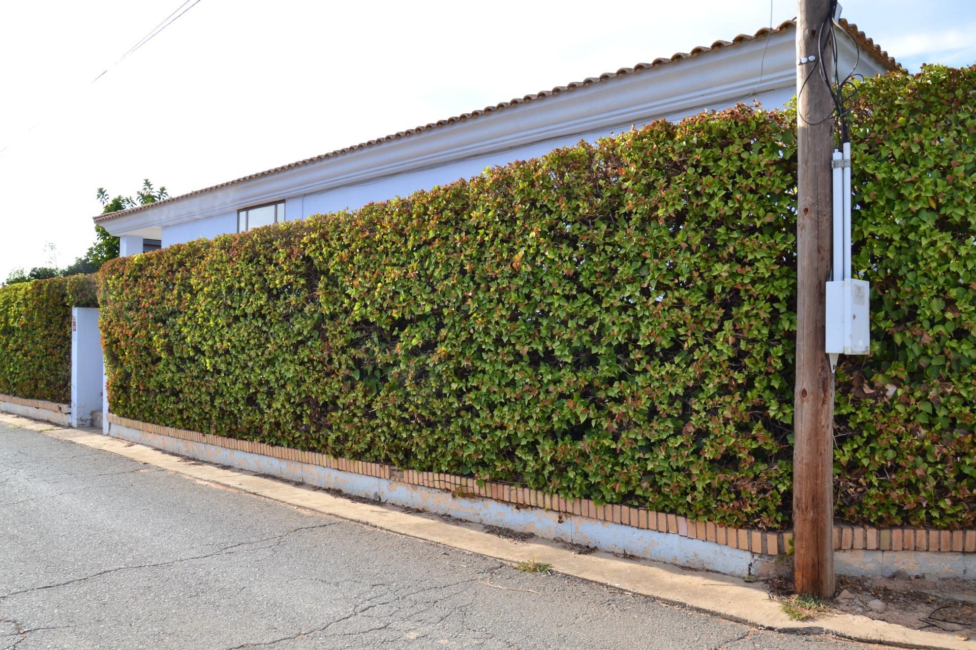 Casas o chalets-Venta-Espartinas-1841840-Foto-2