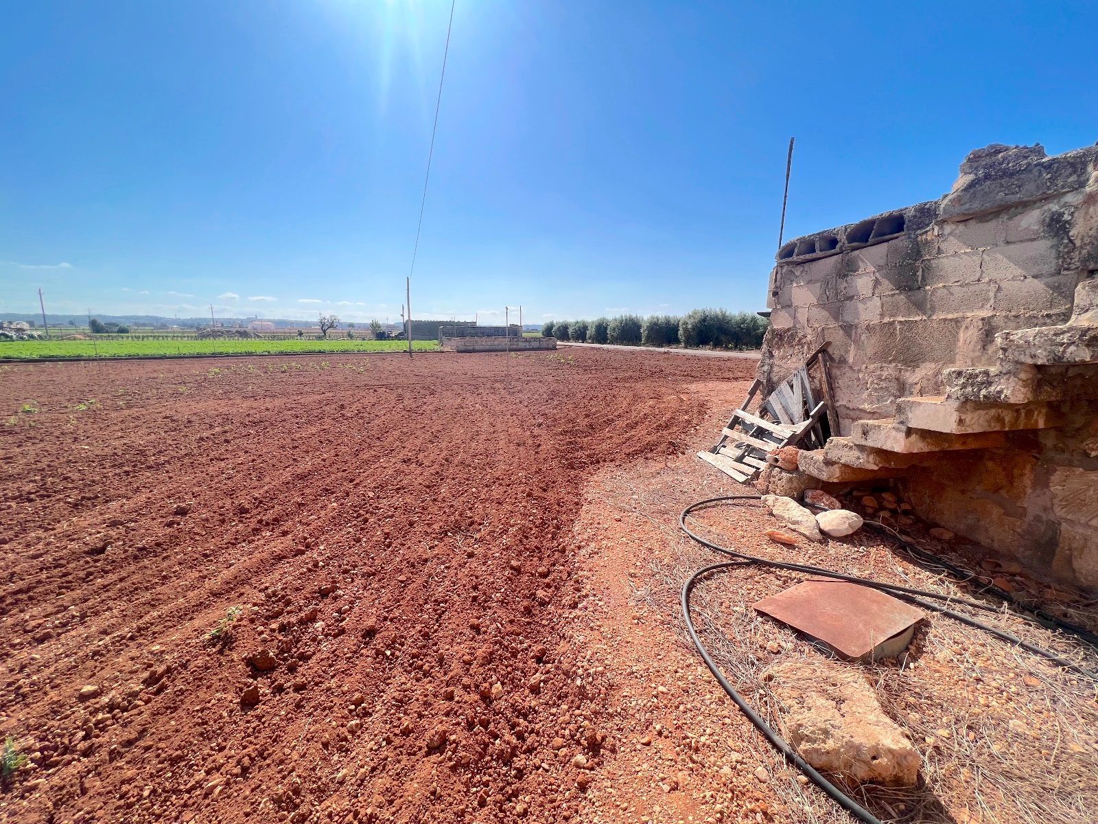 Fincas y solares-Venta-Sa Pobla-993592-Foto-3