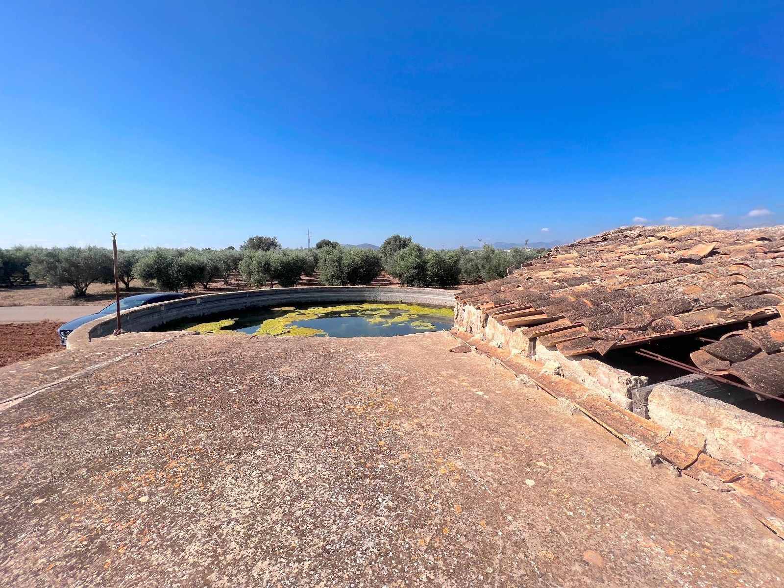 Fincas y solares-Venta-Sa Pobla-993592-Foto-8