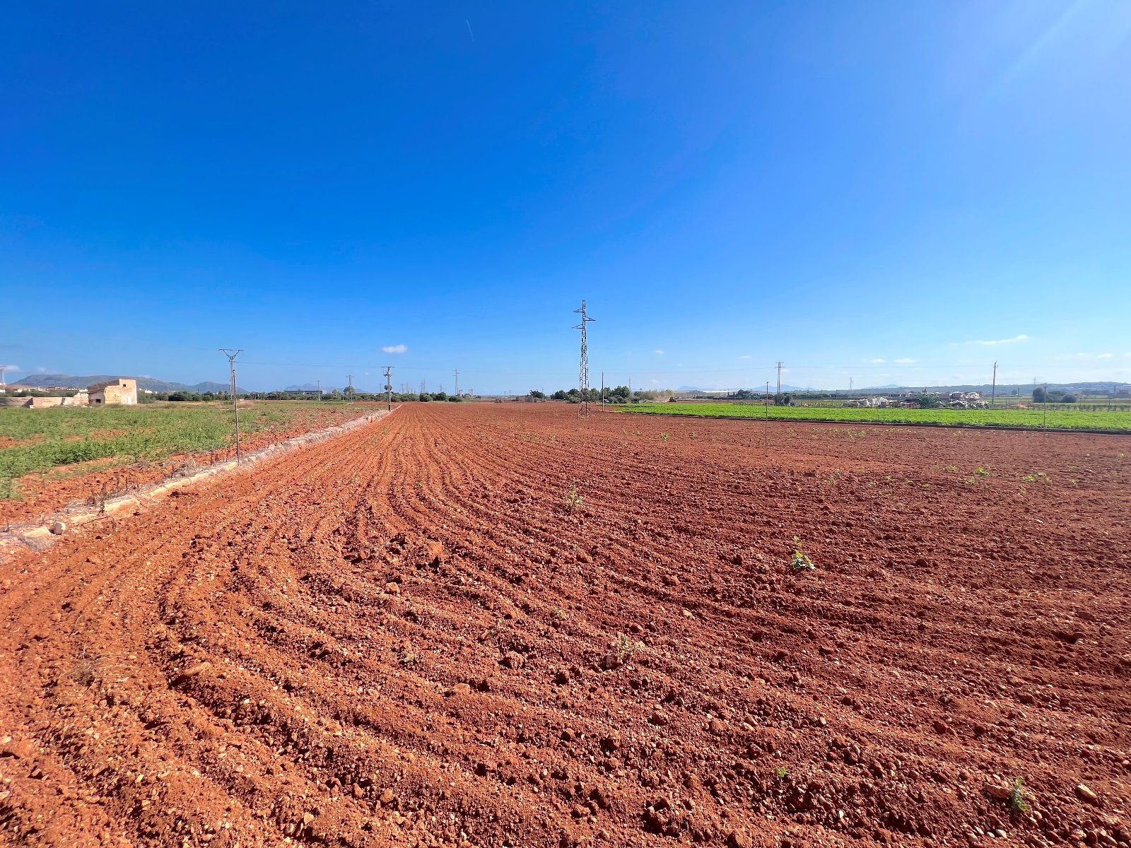 Fincas y solares-Venta-Sa Pobla-993592-Foto-6