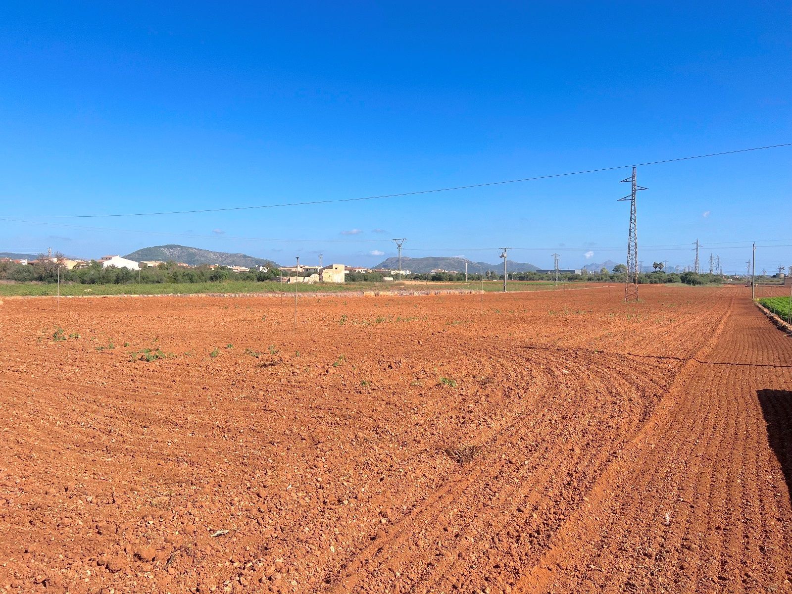 Fincas y solares-Venta-Sa Pobla-993592-Foto-11