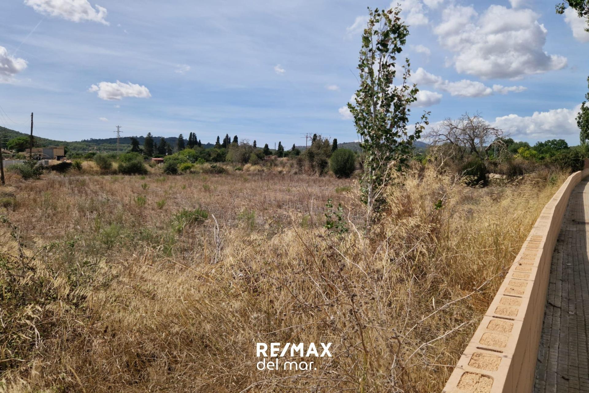 Fincas y solares-Venta-Porreres-1838859-Foto-2