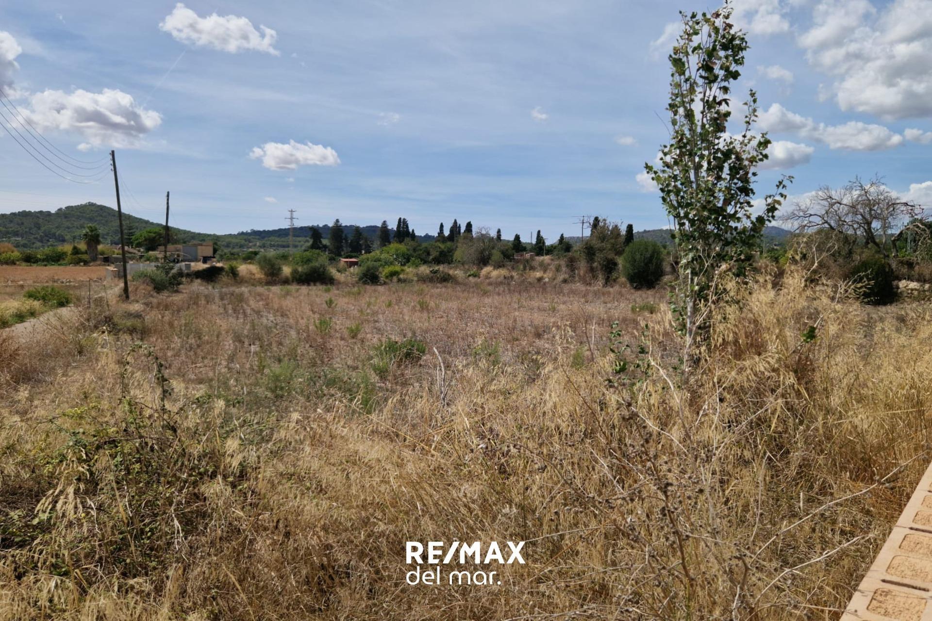 Fincas y solares-Venta-Porreres-1838859