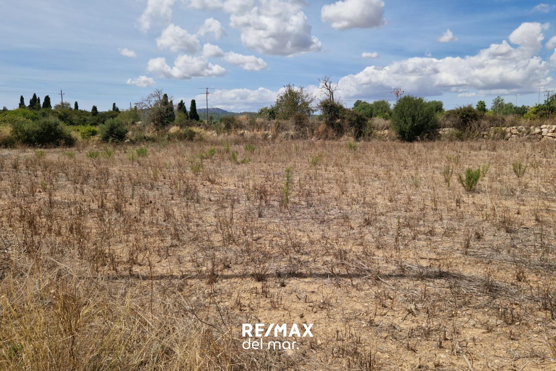 Fincas y solares-Venta-Porreres-1838859-Foto-3