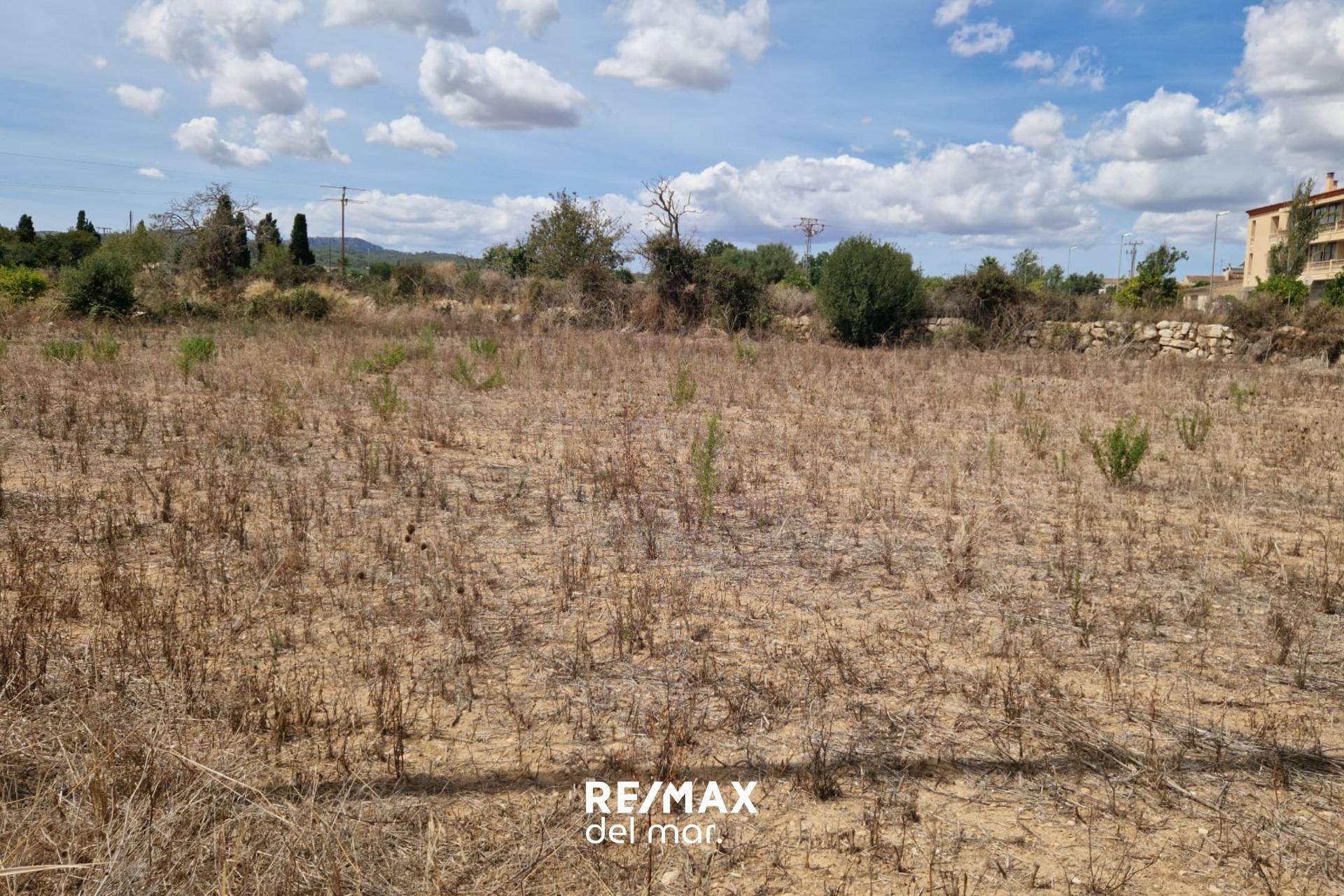 Fincas y solares-Venta-Porreres-1838859-Foto-5