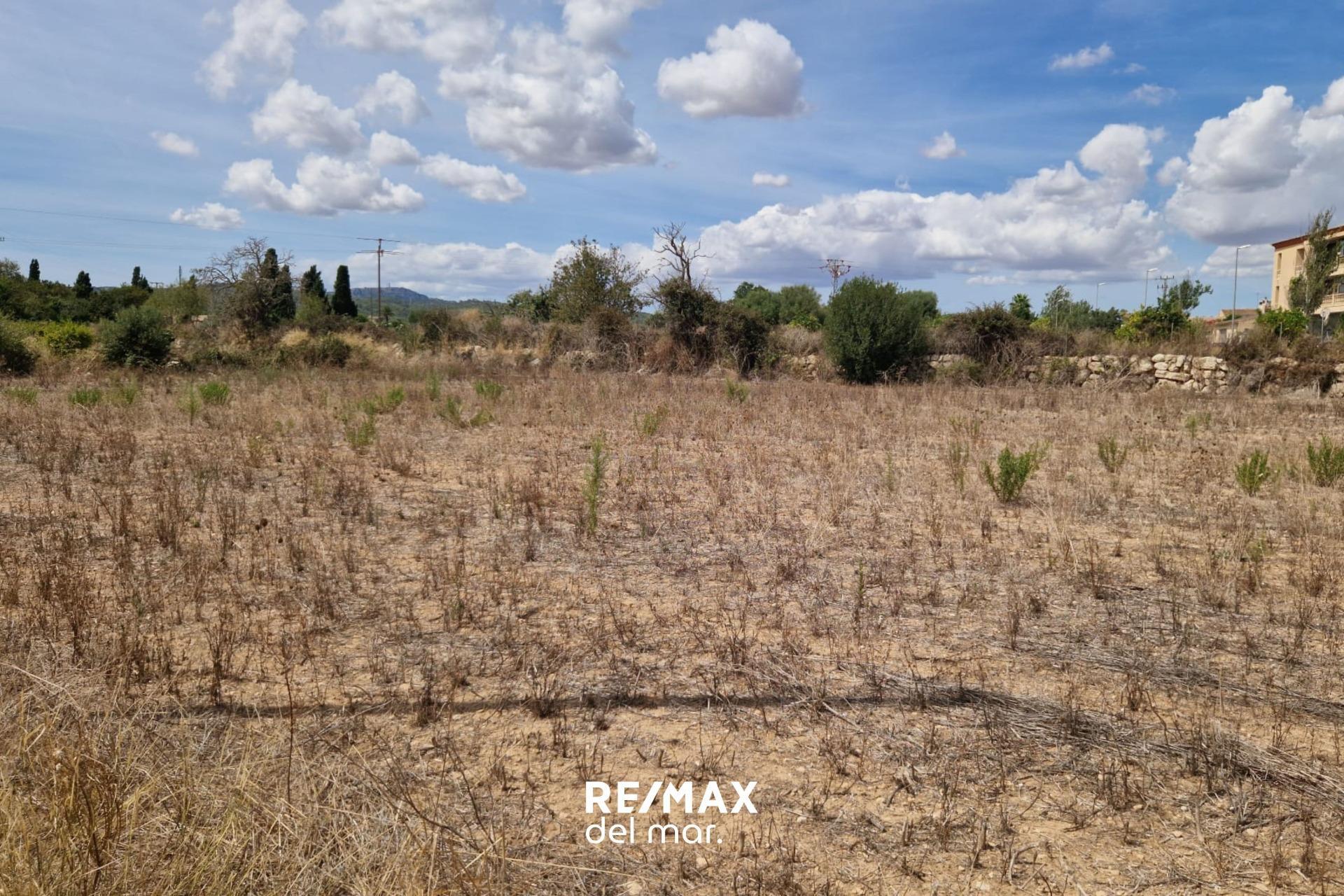 Fincas y solares-Venta-Porreres-1838859-Foto-4