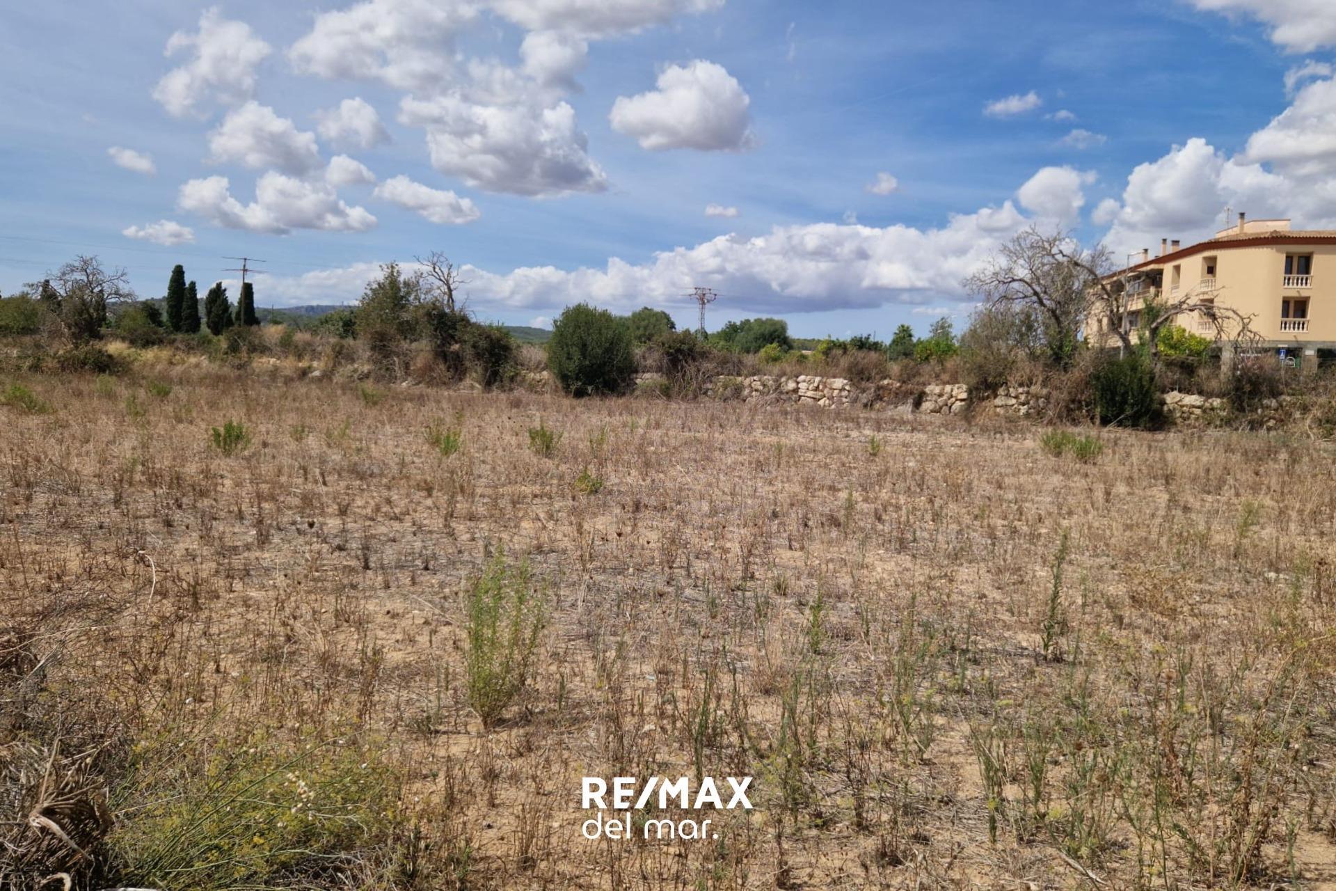 Fincas y solares-Venta-Porreres-1838859-Foto-7