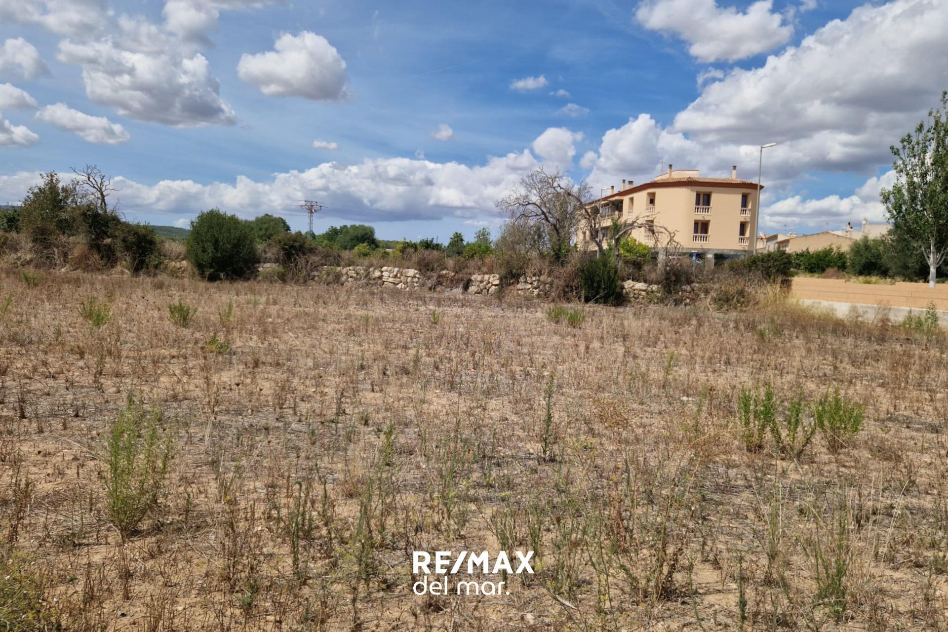 Fincas y solares-Venta-Porreres-1838859-Foto-8