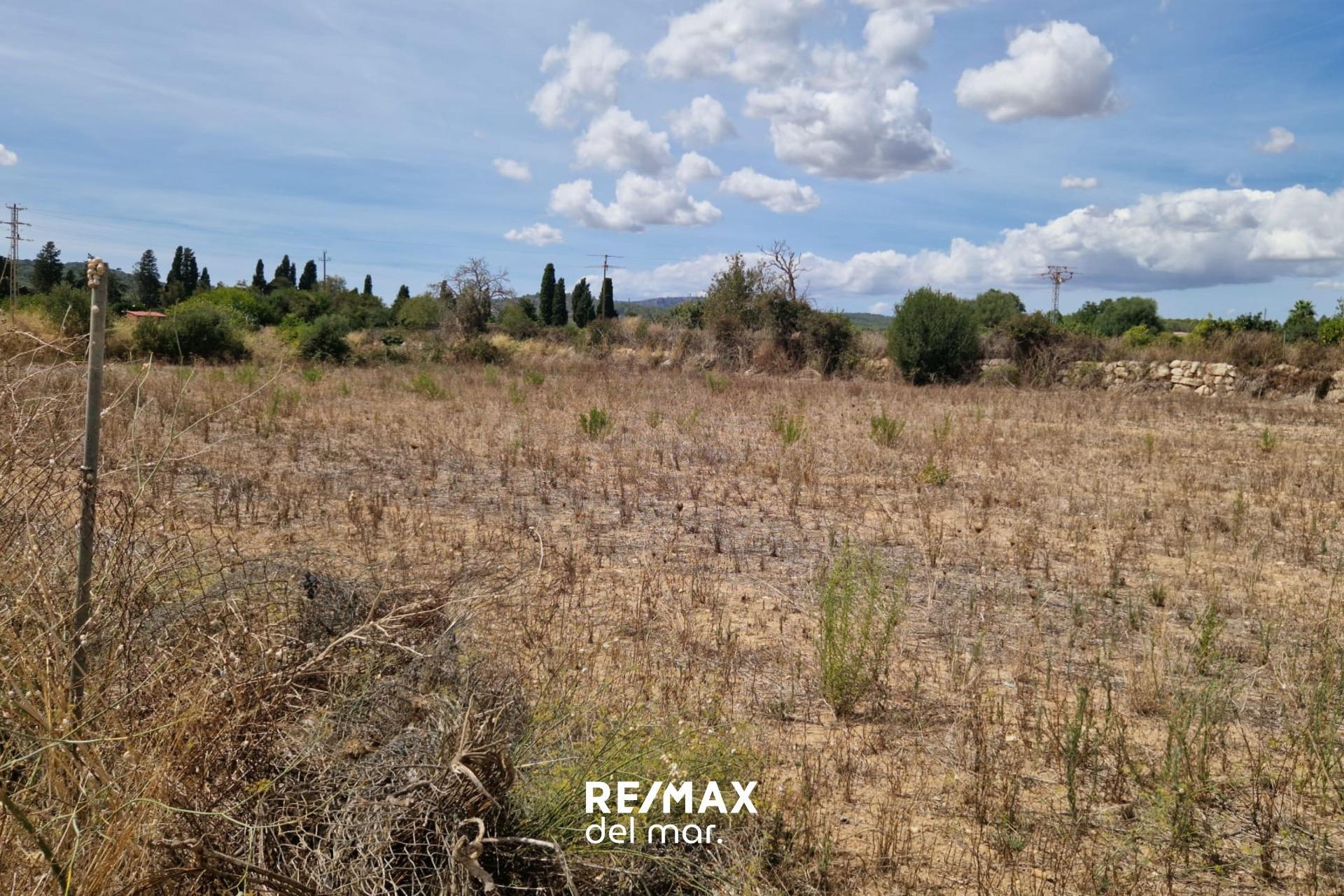 Fincas y solares-Venta-Porreres-1838859-Foto-10
