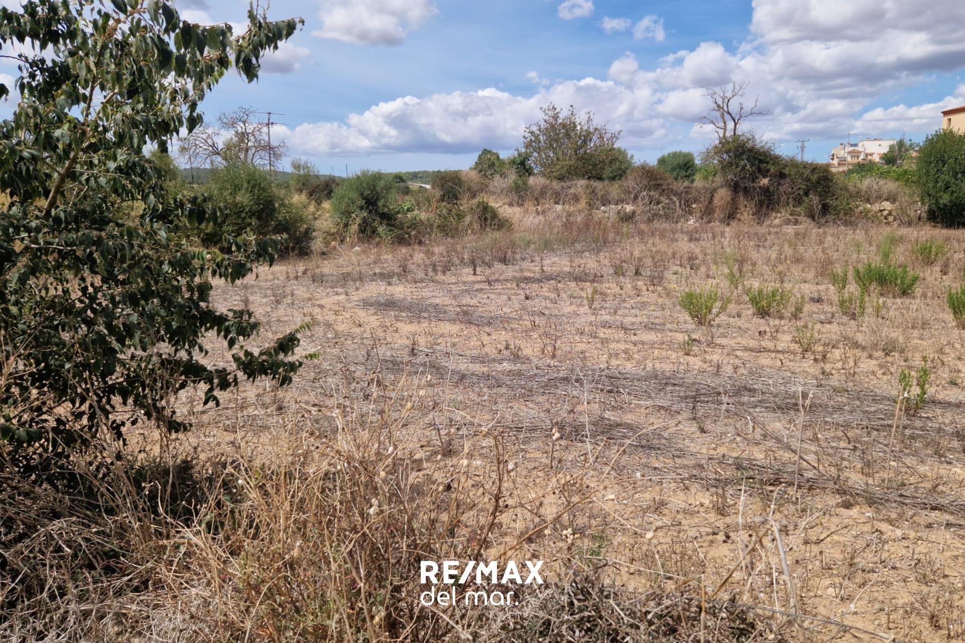 Fincas y solares-Venta-Porreres-1838859-Foto-12