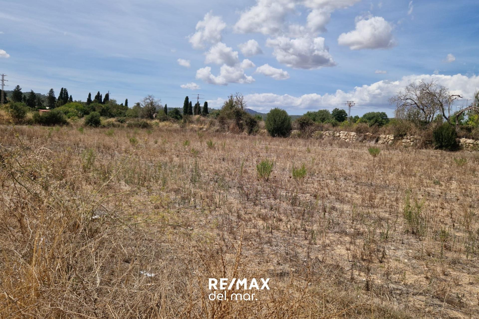 Fincas y solares-Venta-Porreres-1838859-Foto-11