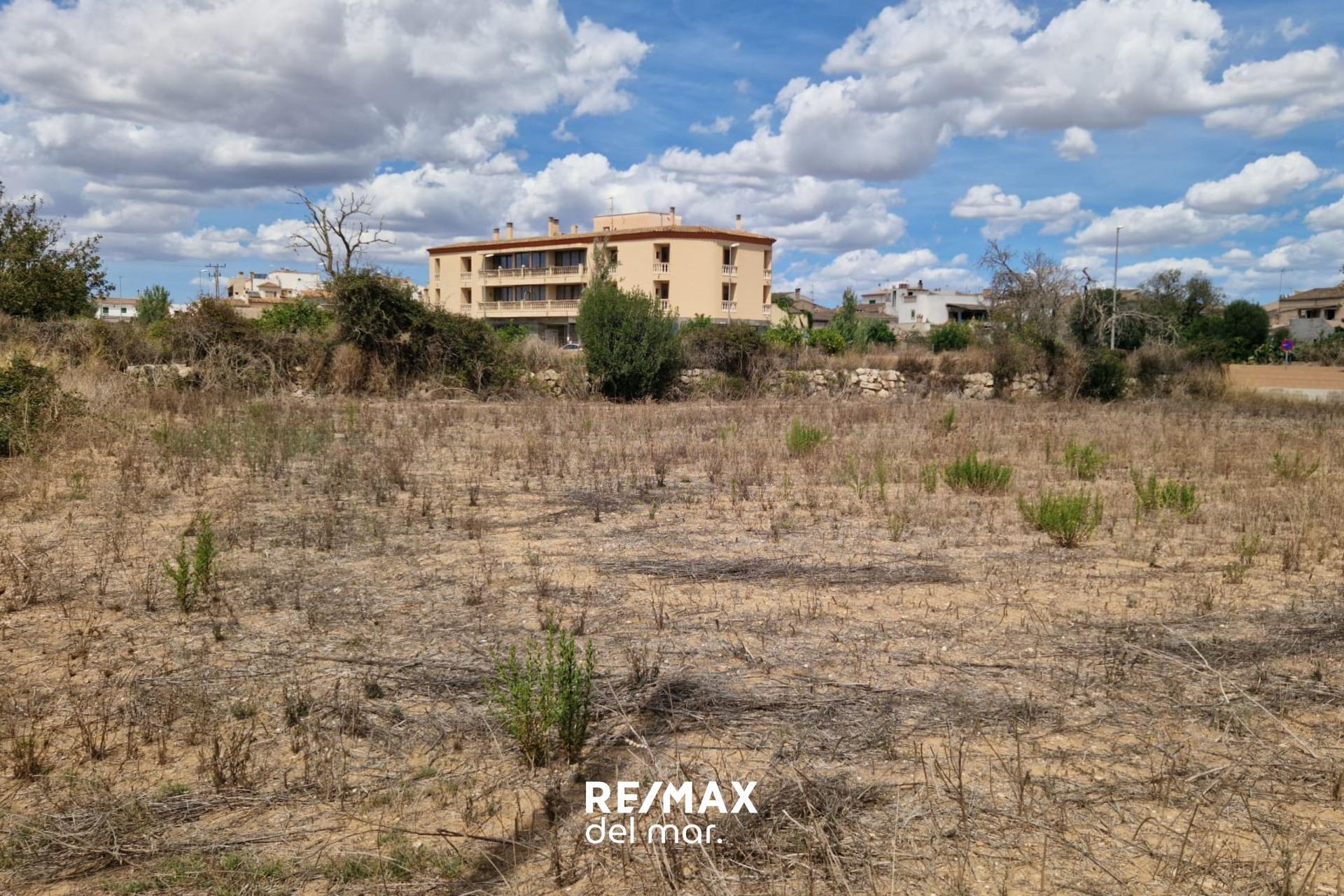 Fincas y solares-Venta-Porreres-1838859-Foto-9