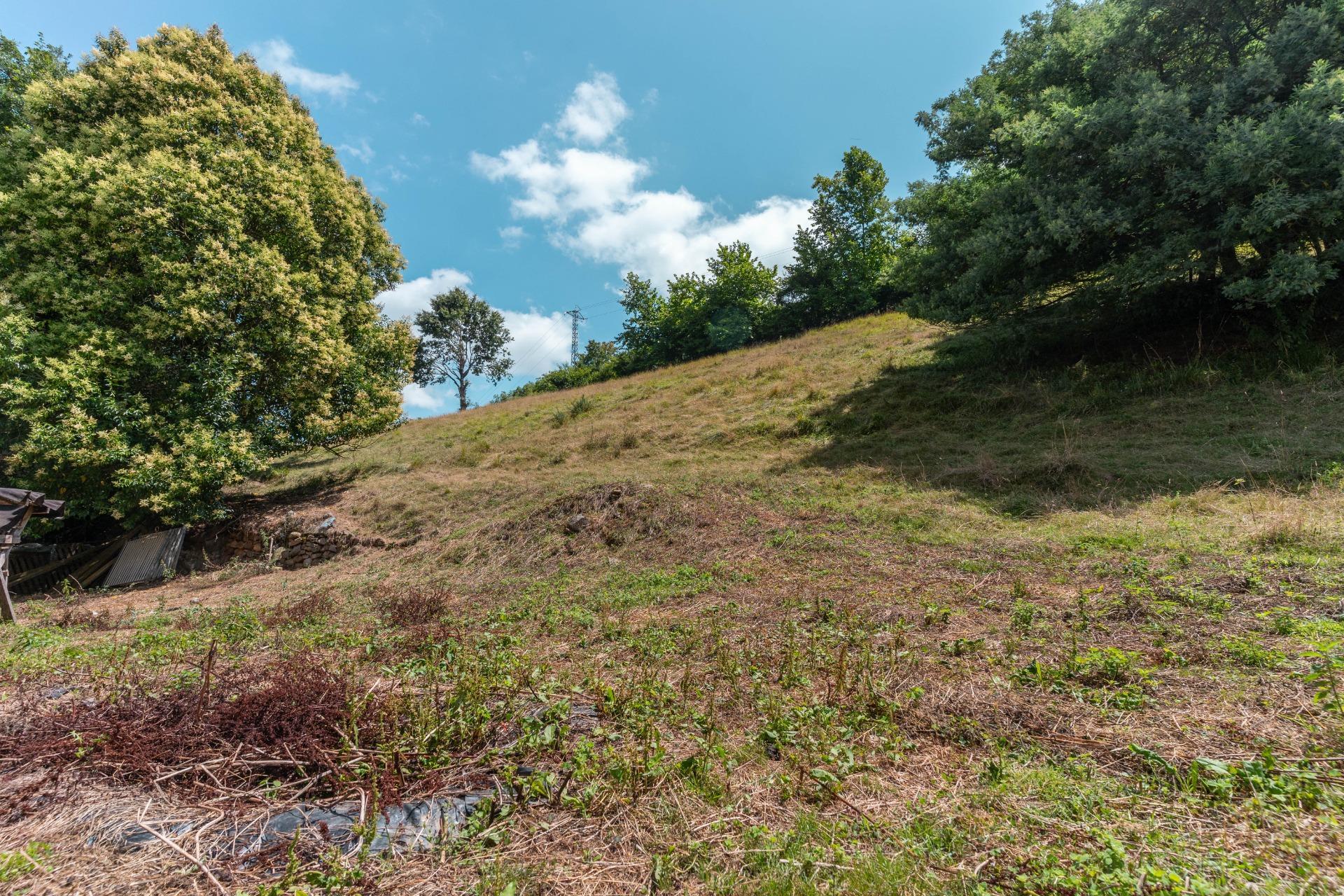 Casas o chalets-Venta-Cangas de OnÃ­s-1838874-Foto-16
