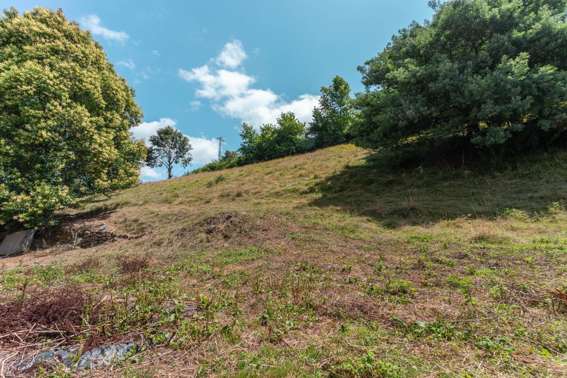 Casas o chalets-Venta-Cangas de OnÃ­s-1838874-Foto-15