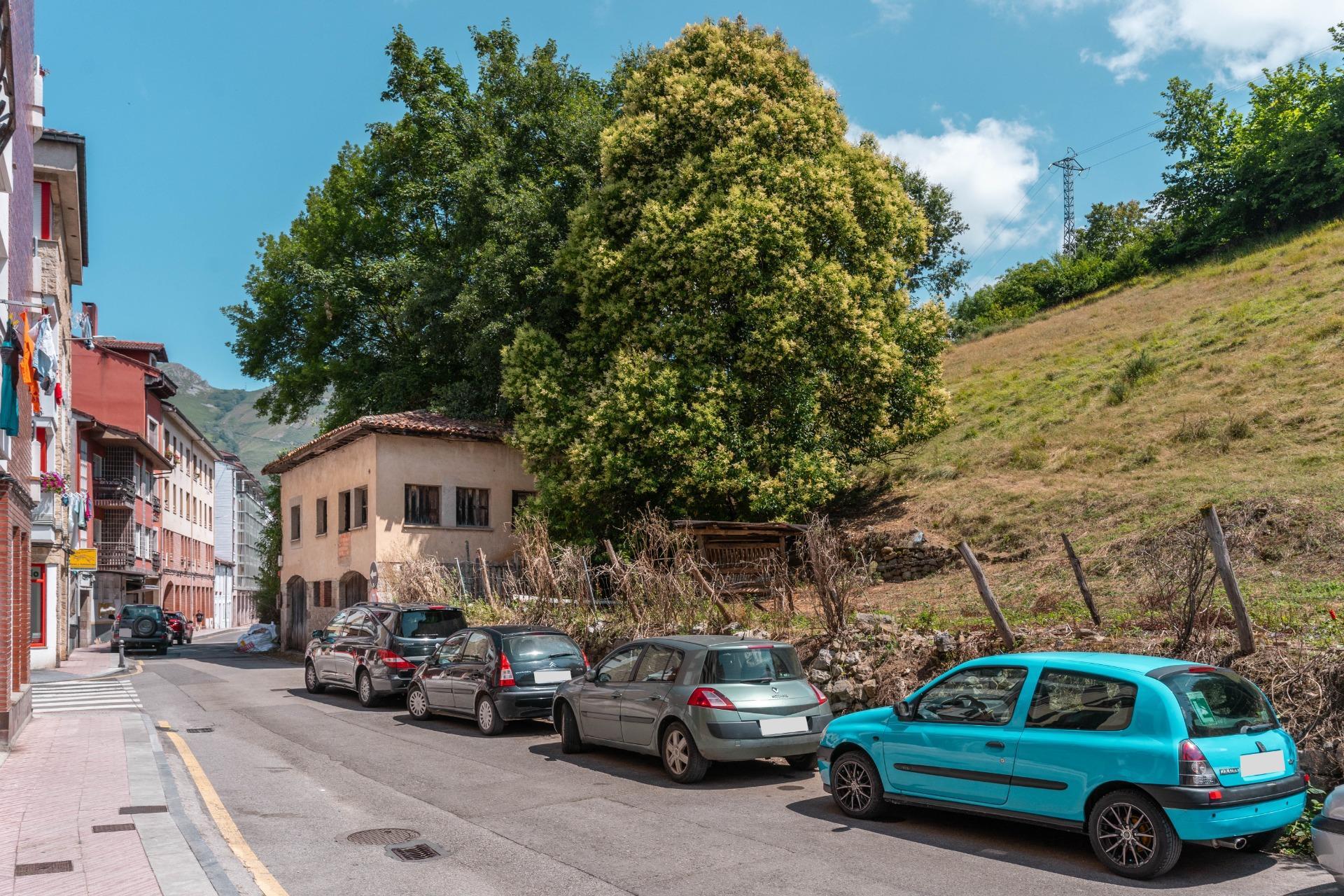 Casas o chalets-Venta-Cangas de OnÃ­s-1838874-Foto-17