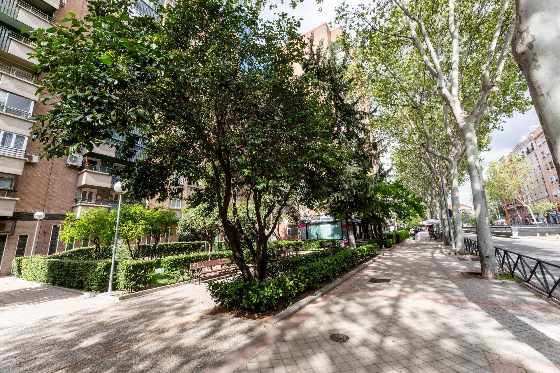 Pisos-Venta-Madrid-1717691-Foto-2